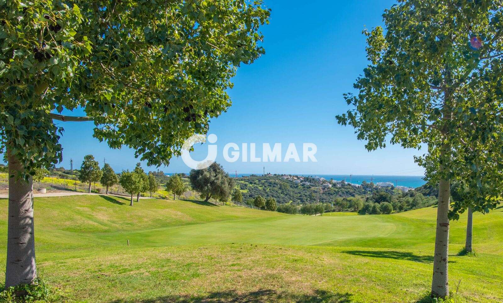 Photo of Villa