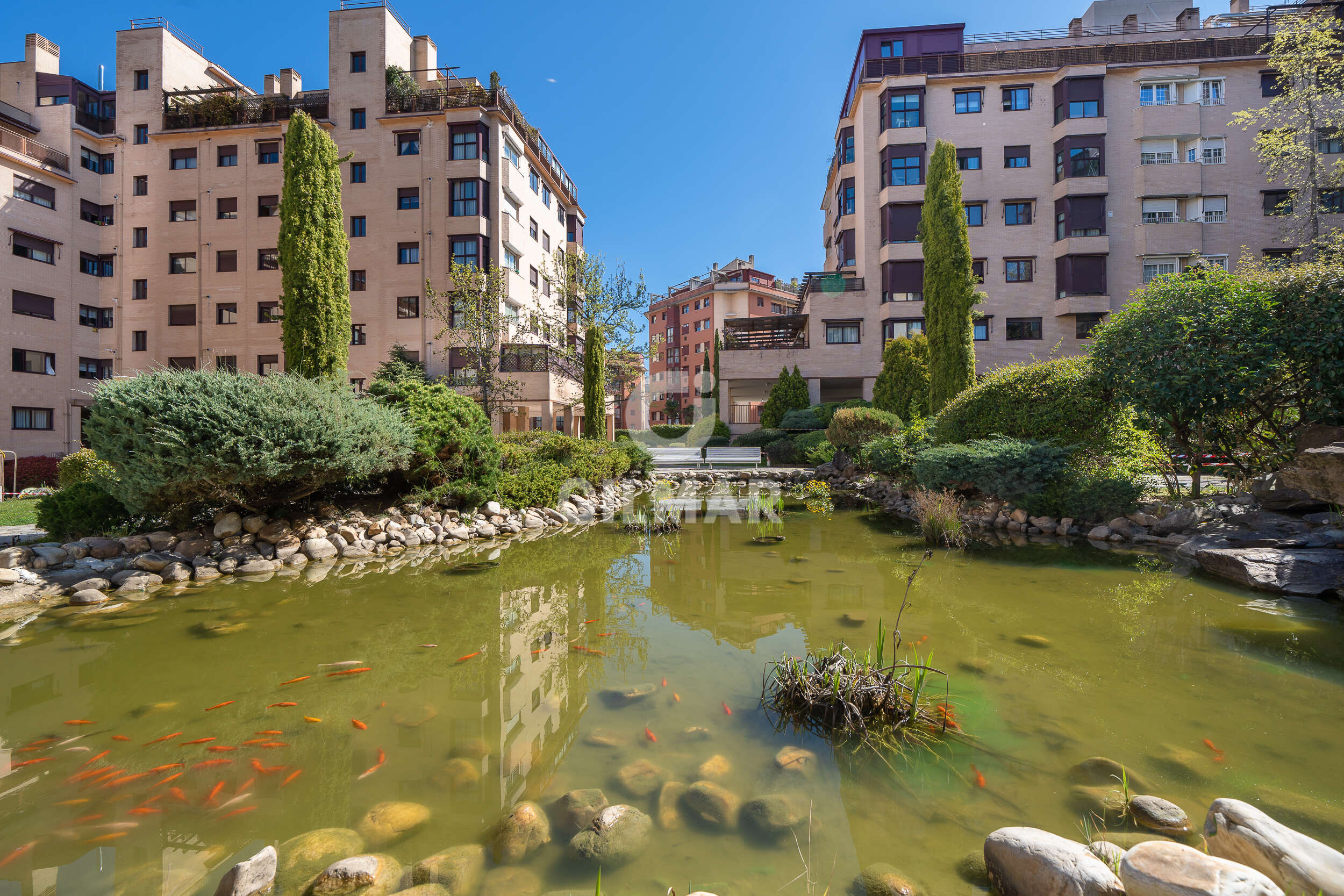 Photo of Apartment