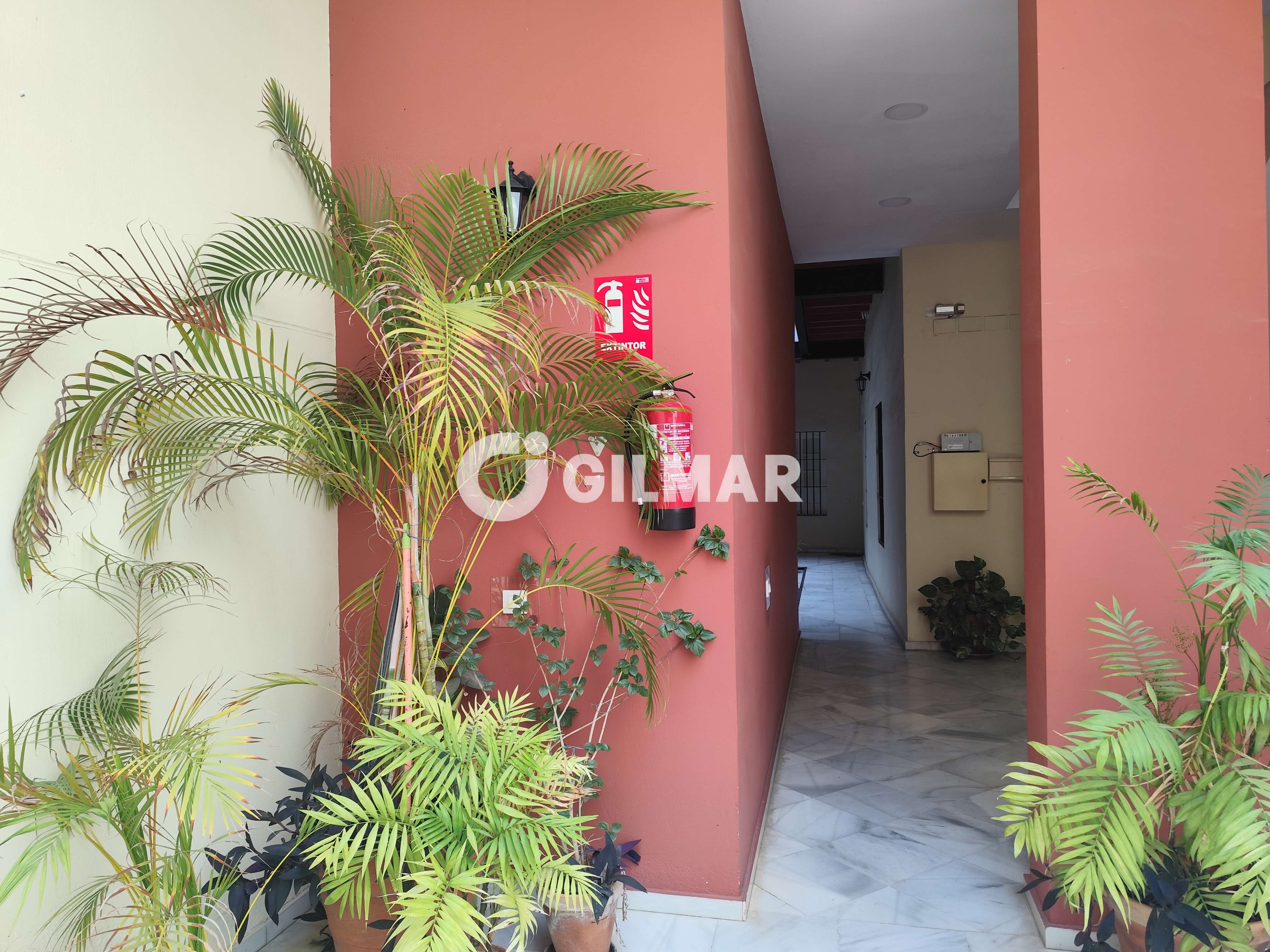 acp galery