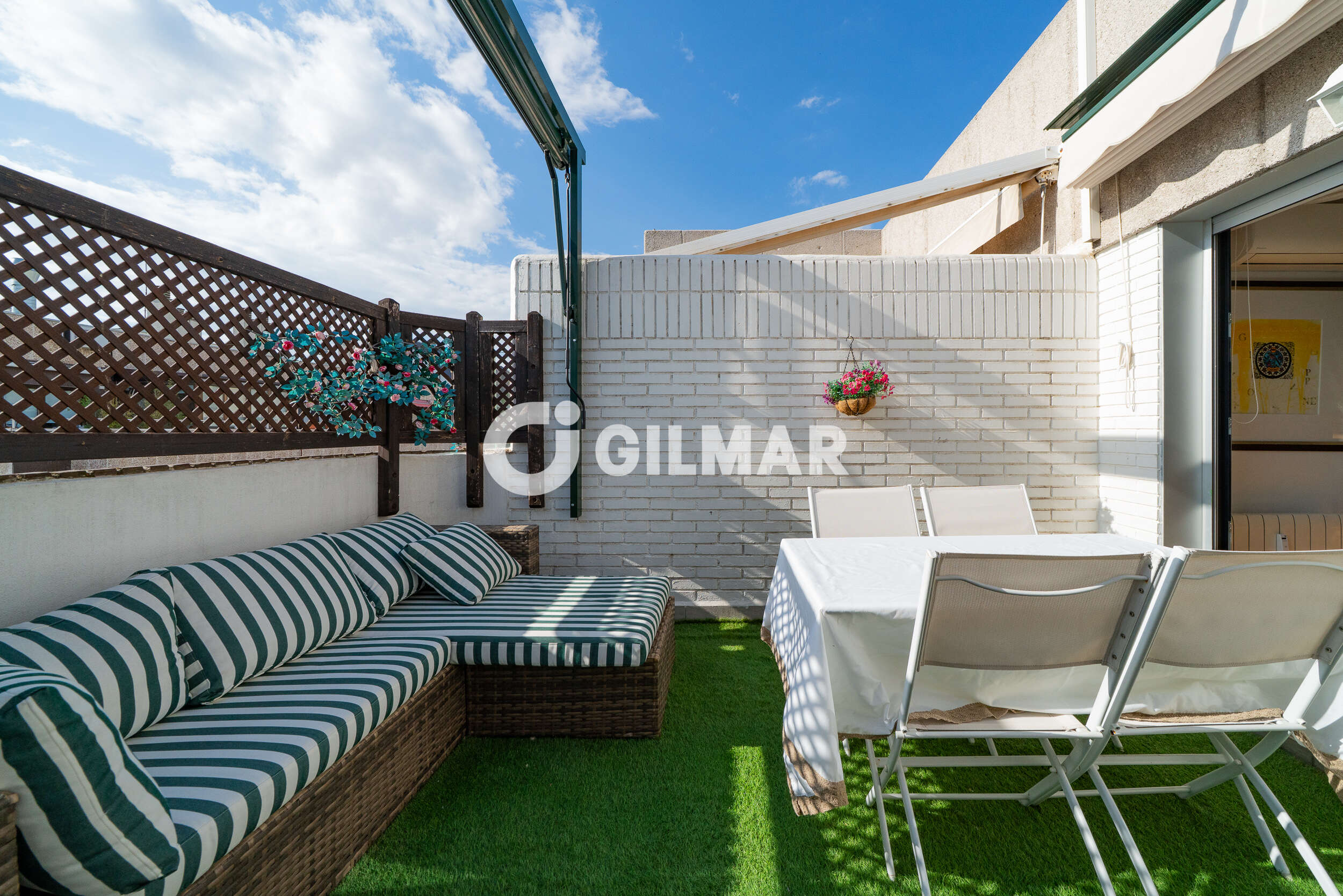 acp galery