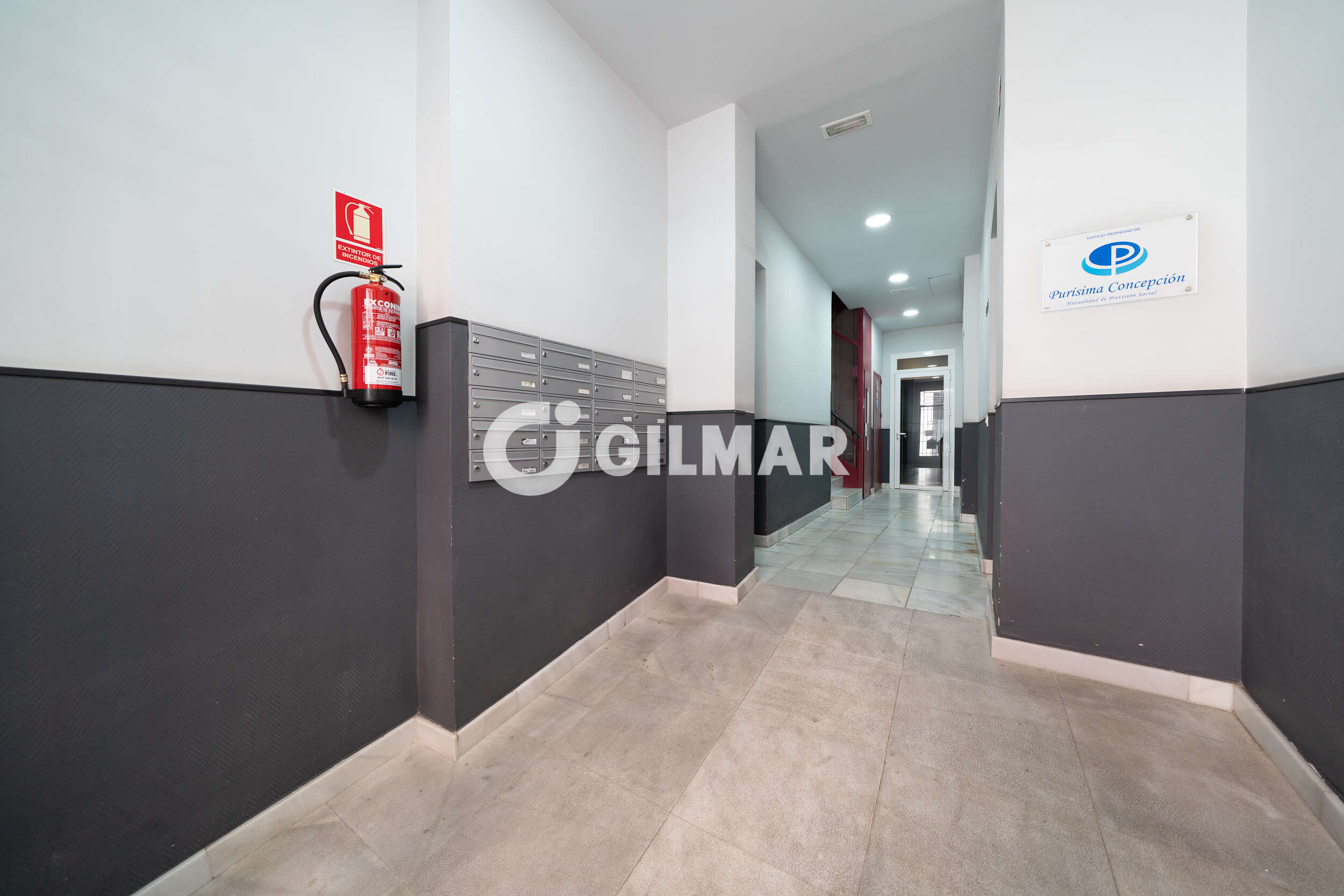 acp galery