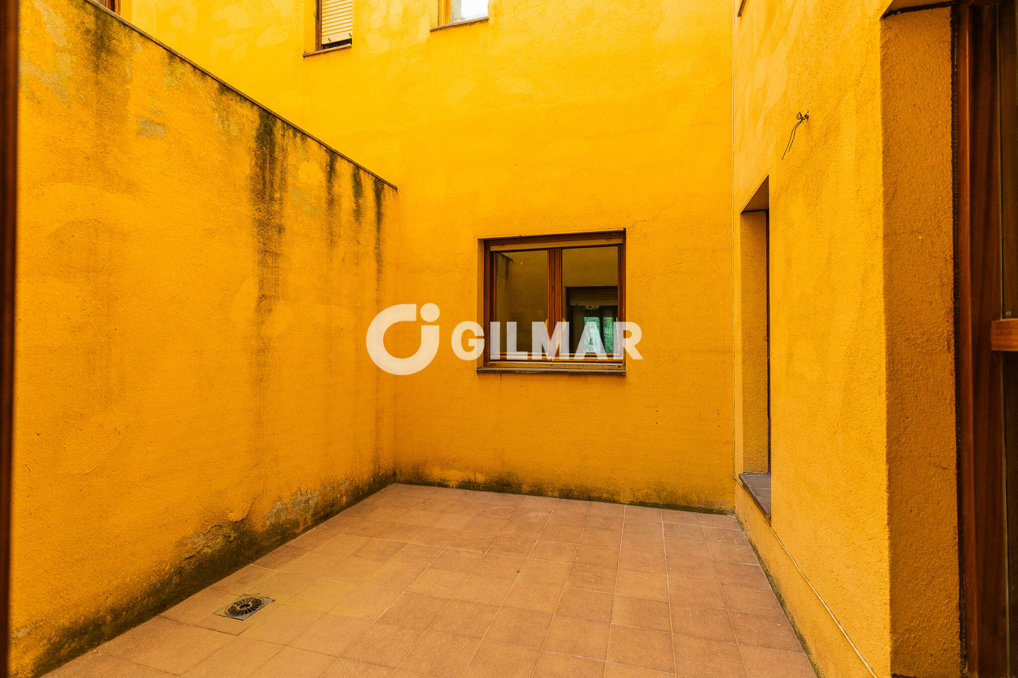 acp galery