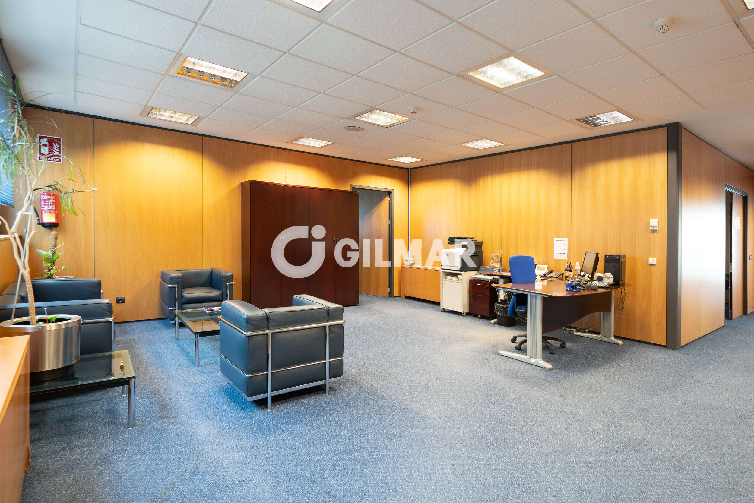 acp galery