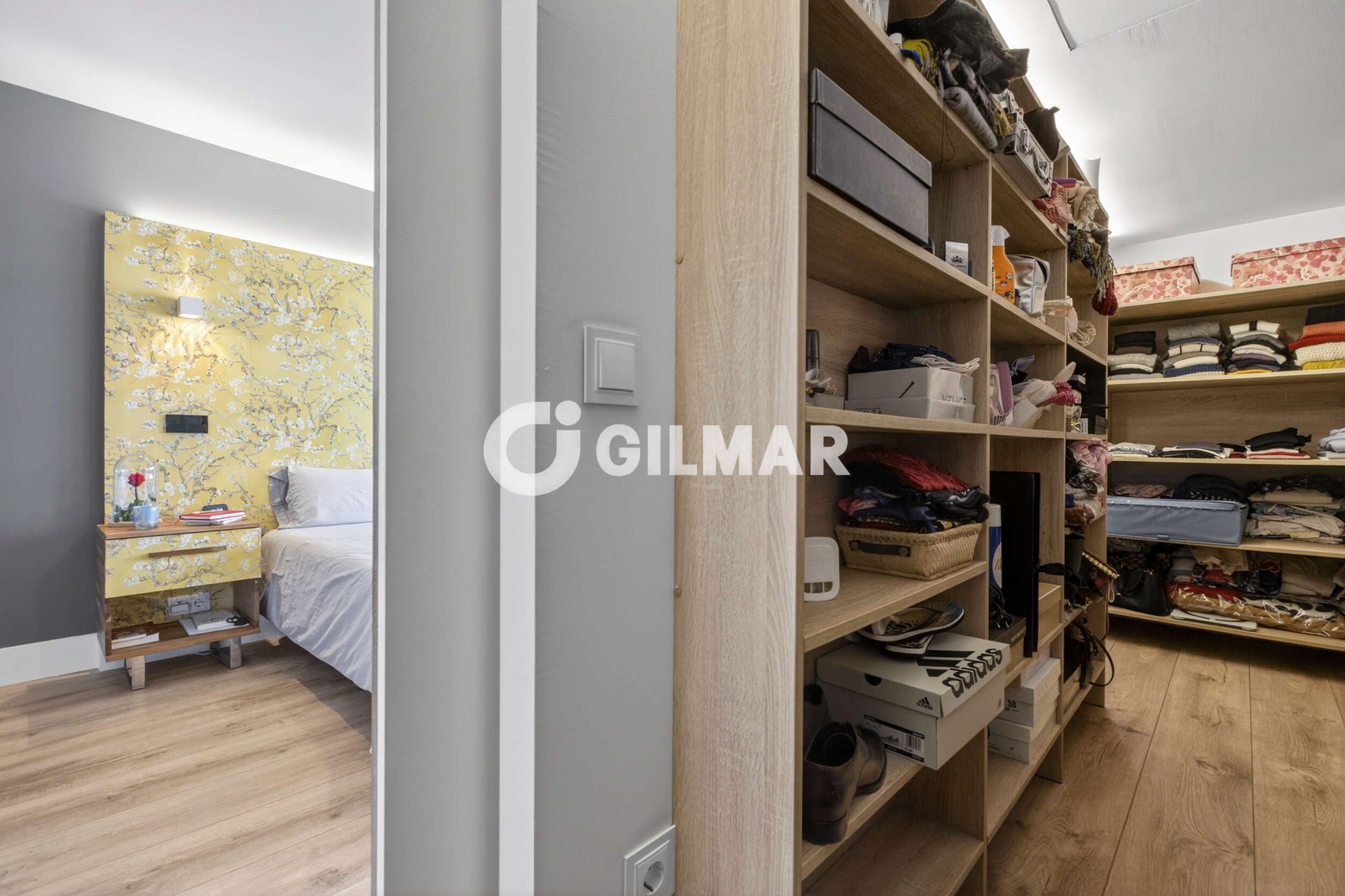 acp galery