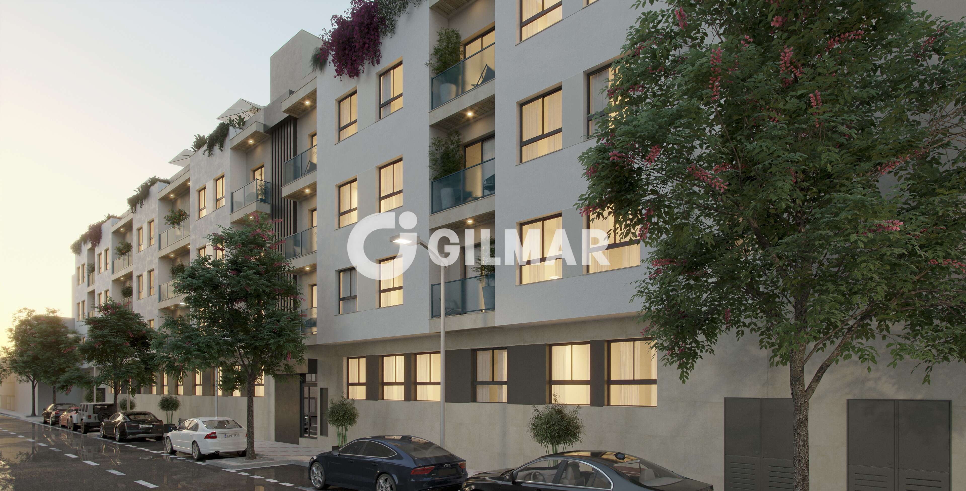 acp galery
