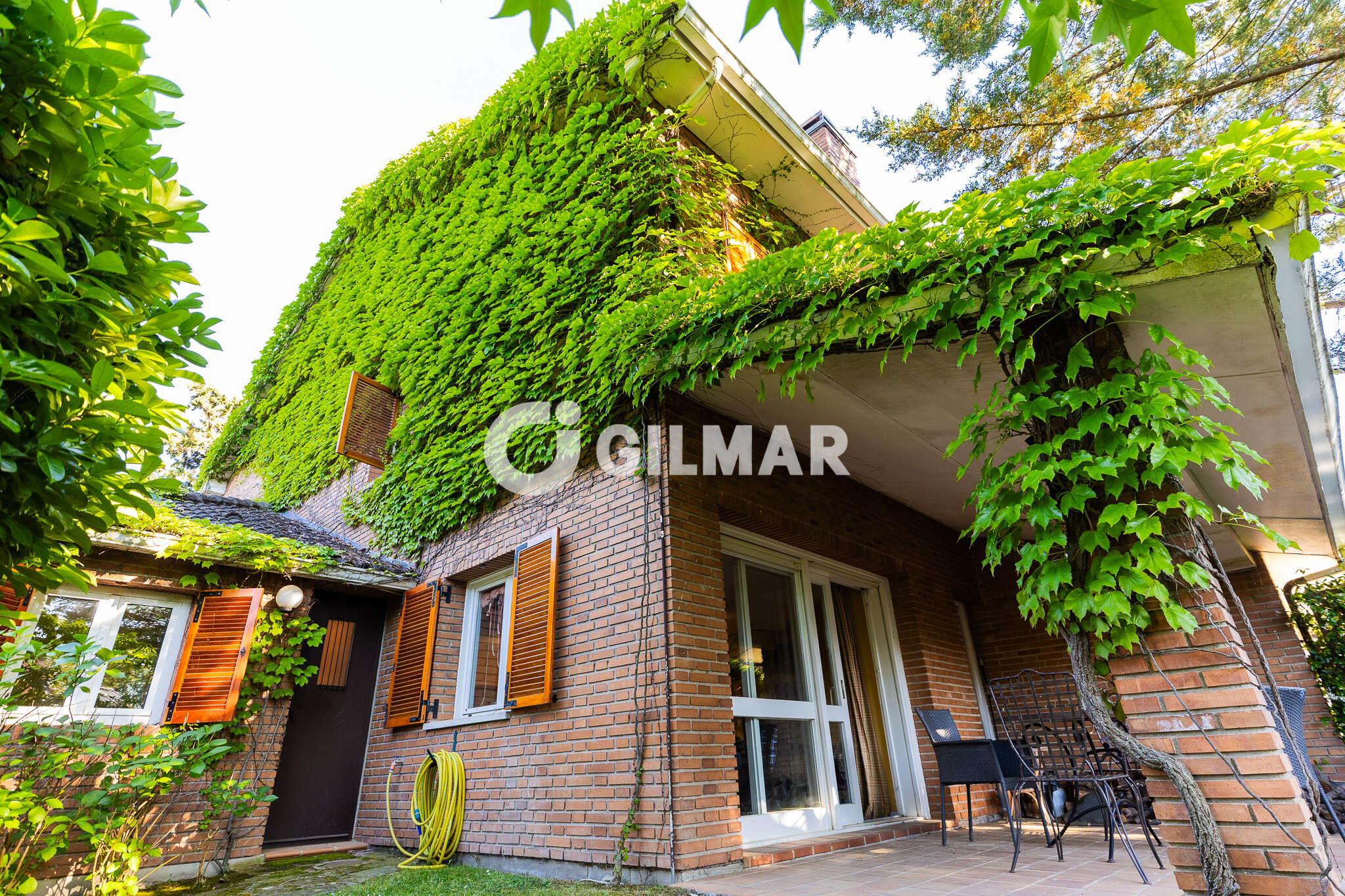 acp galery