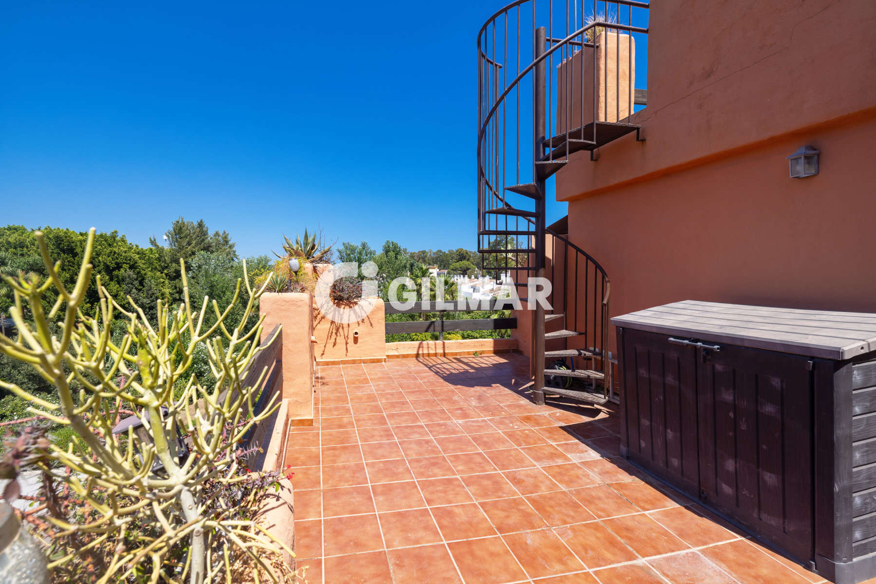 Photo of Penthouse