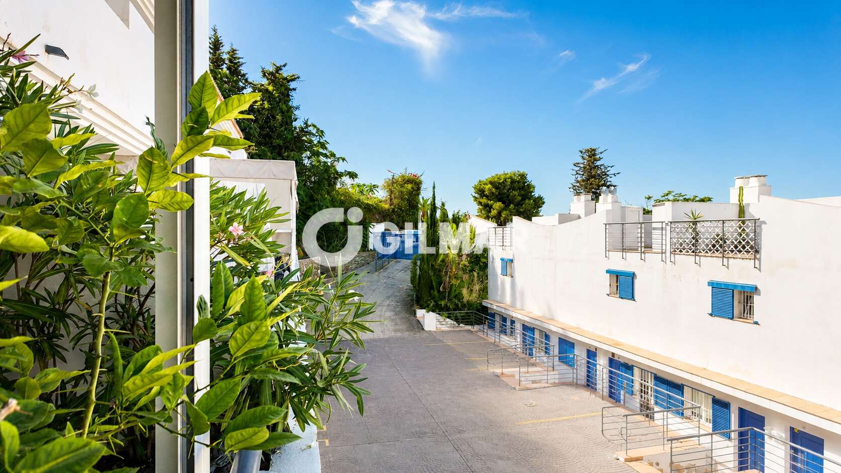 acp galery