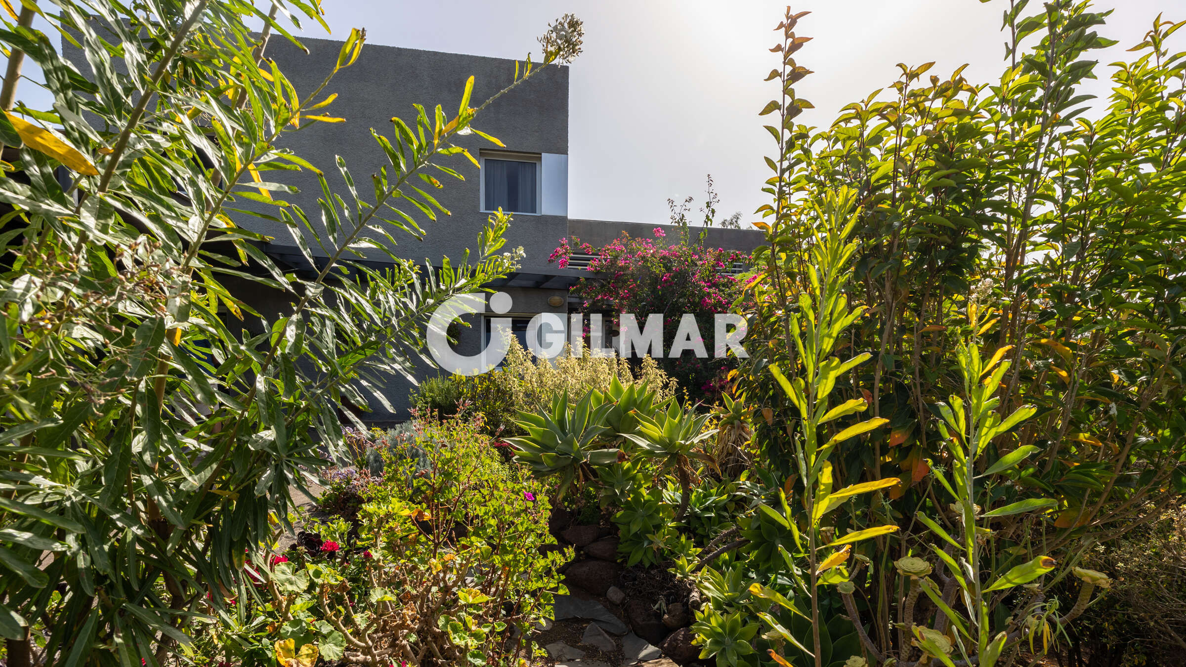 Photo of Villa
