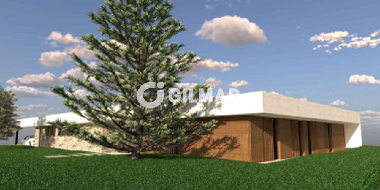 acp galery