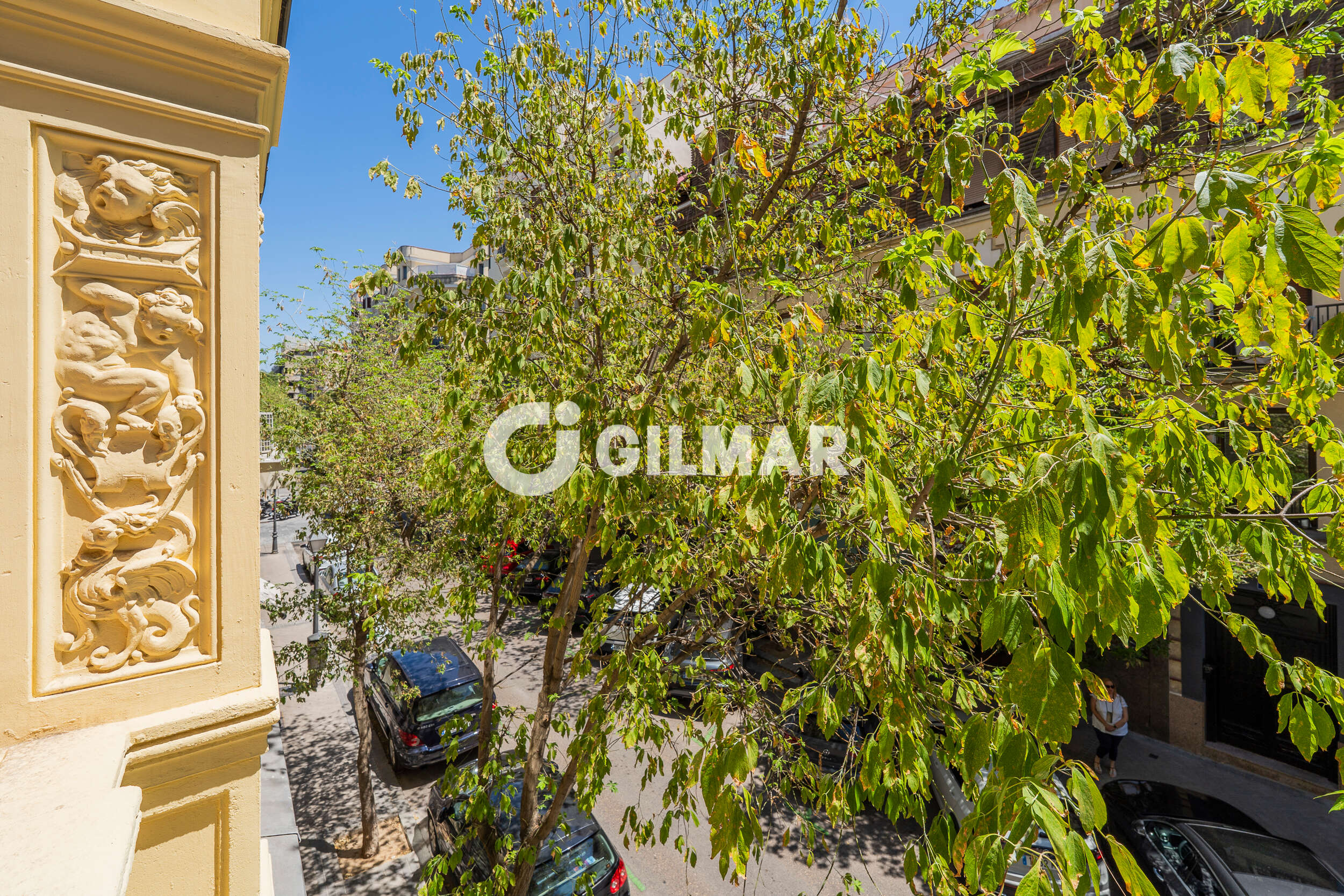 Photo of Apartment