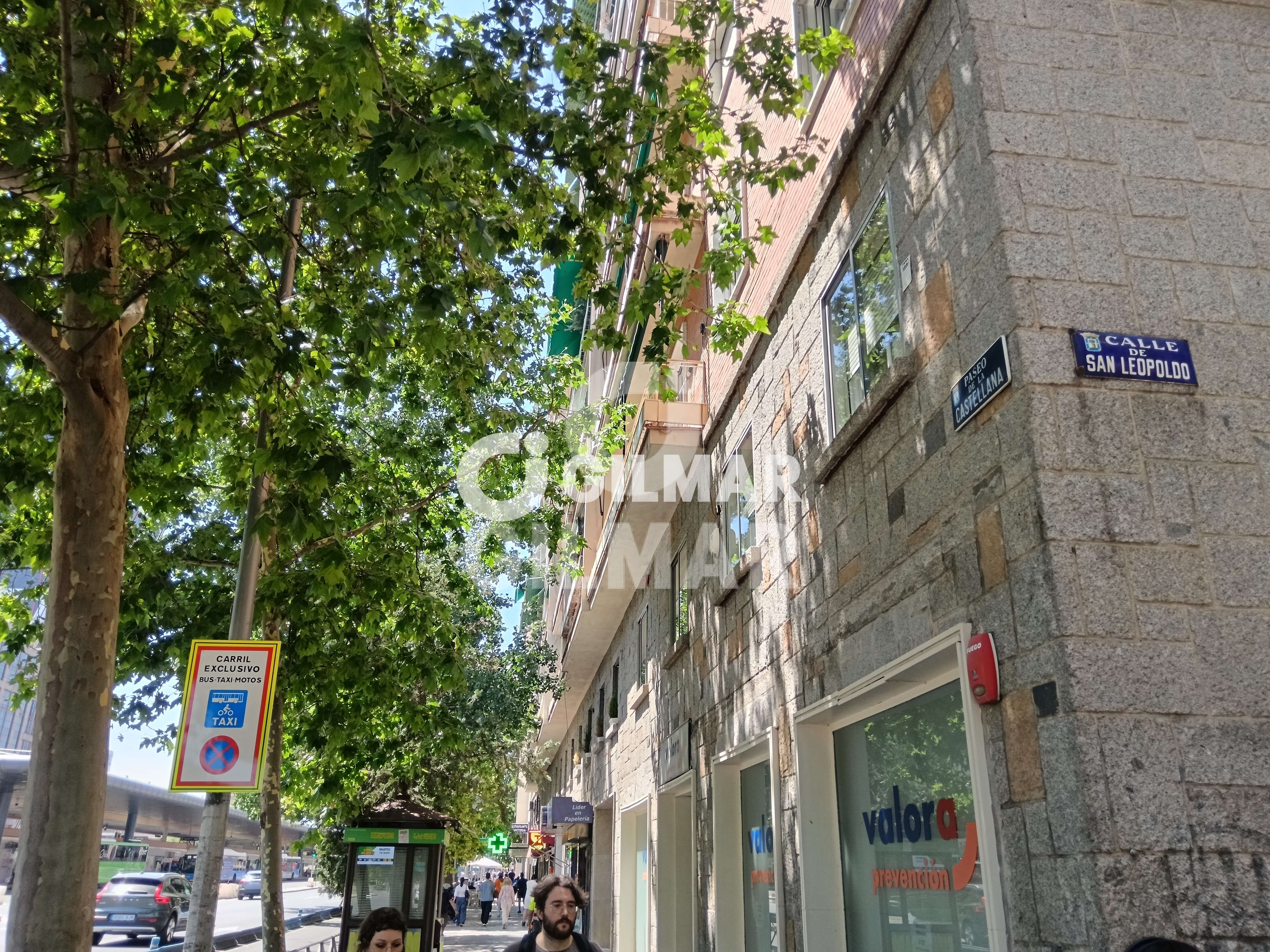 acp galery