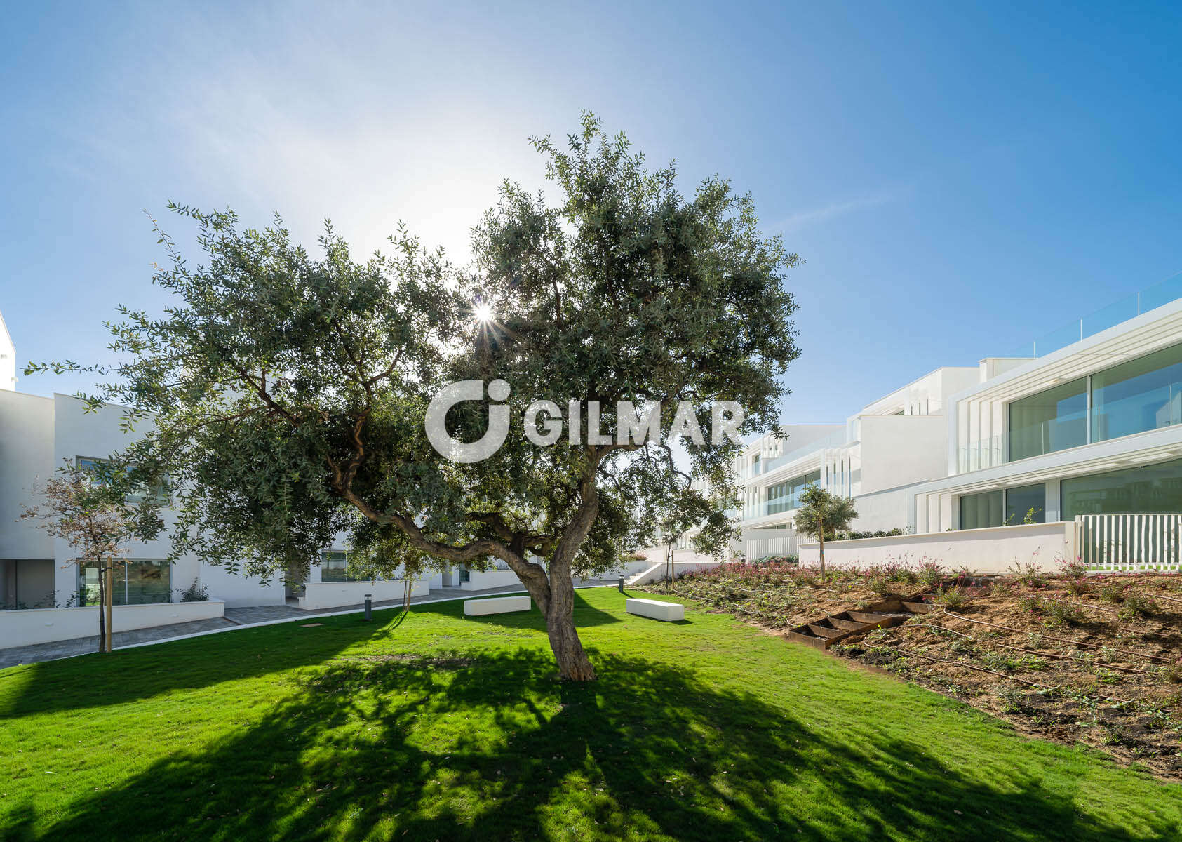 Photo of Semi-detached house