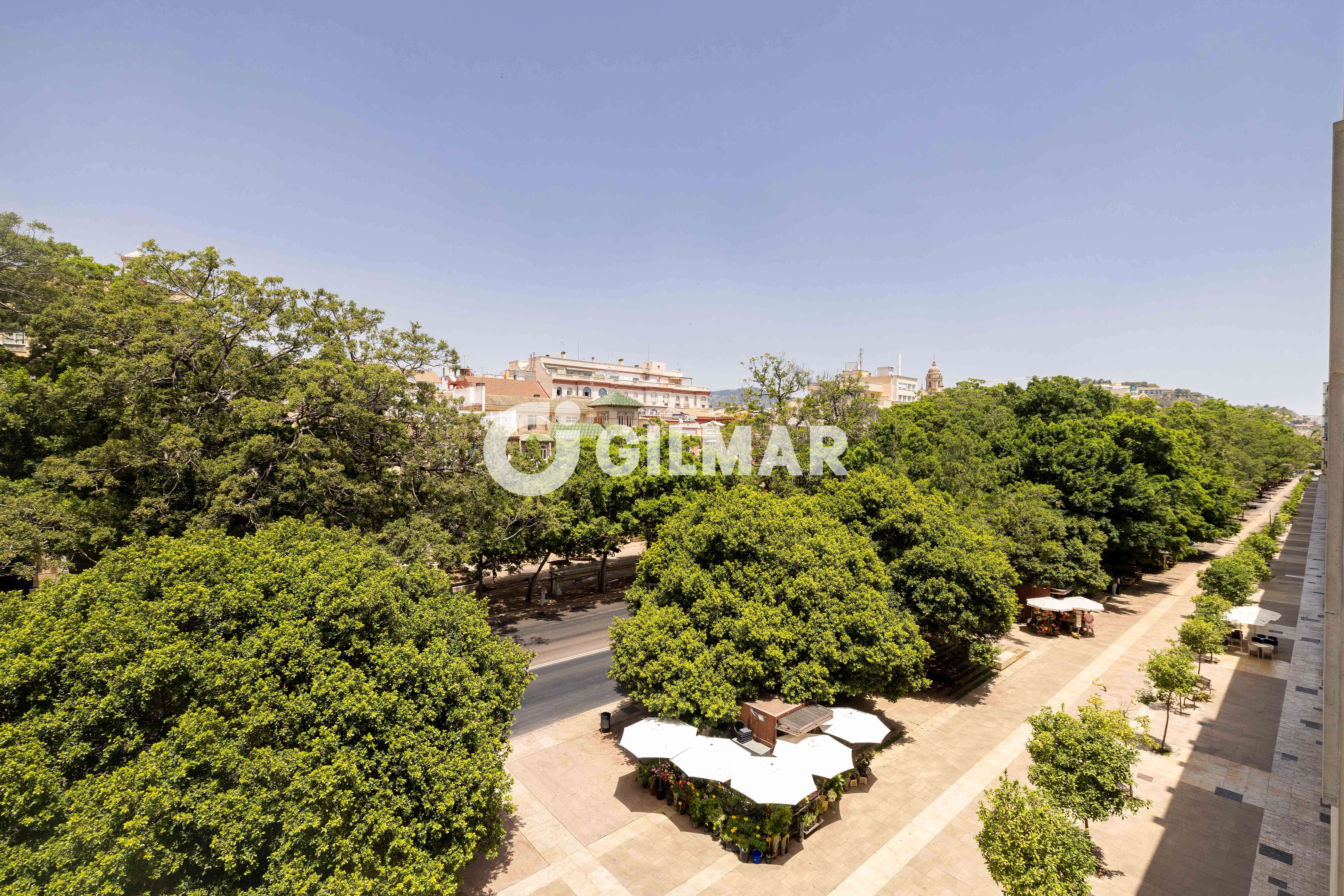 Photo of Apartment