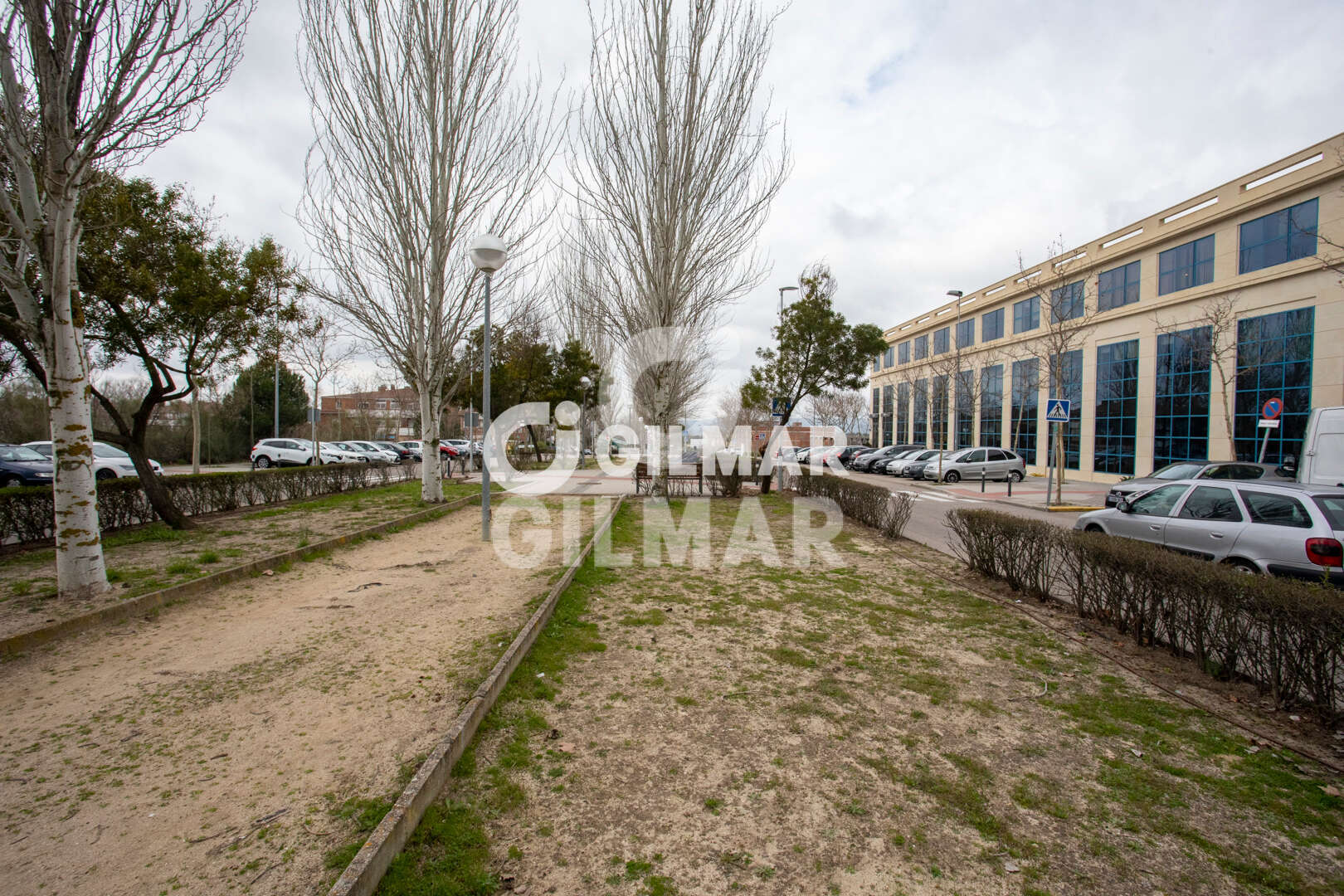 acp galery