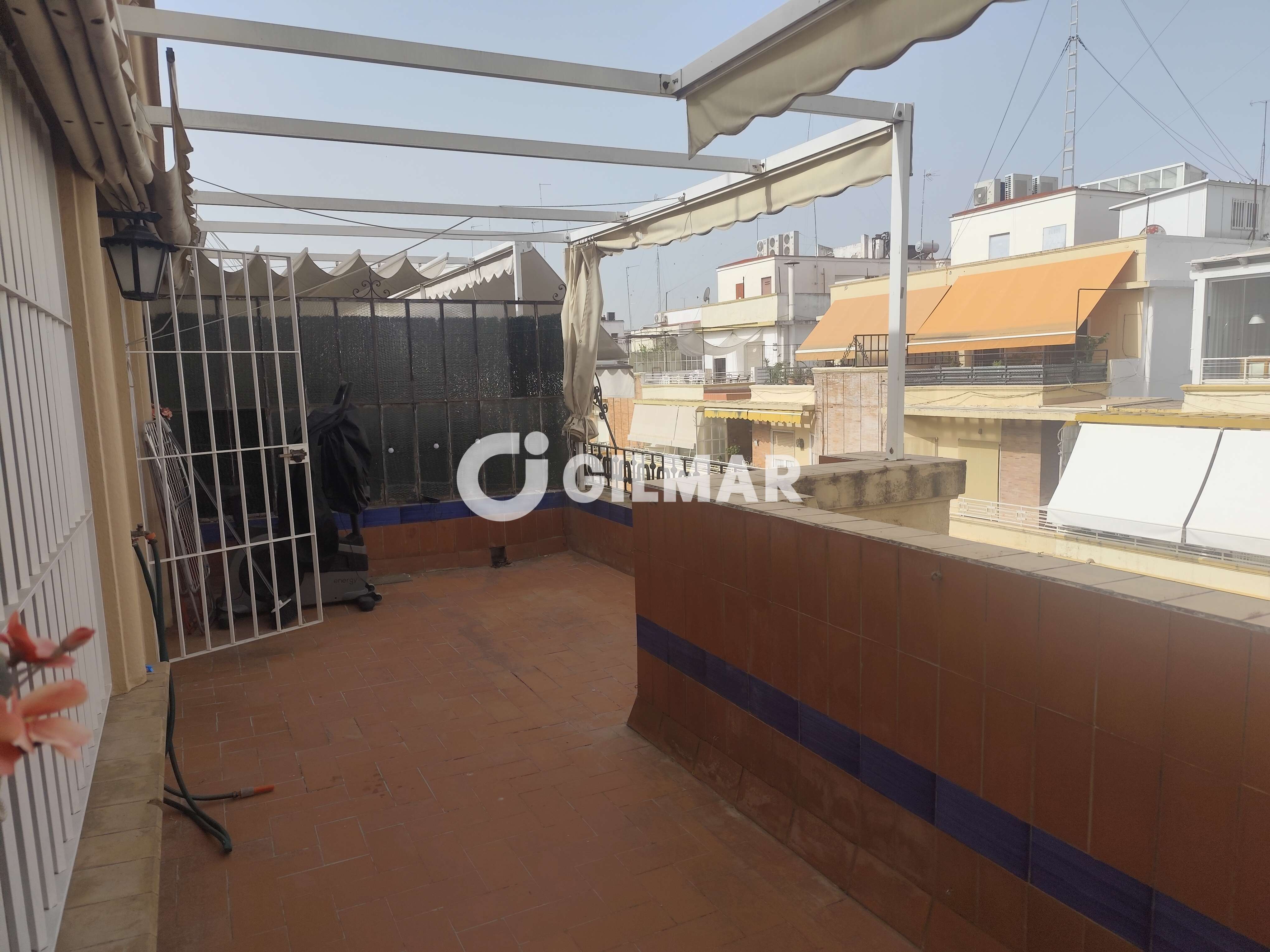 acp galery