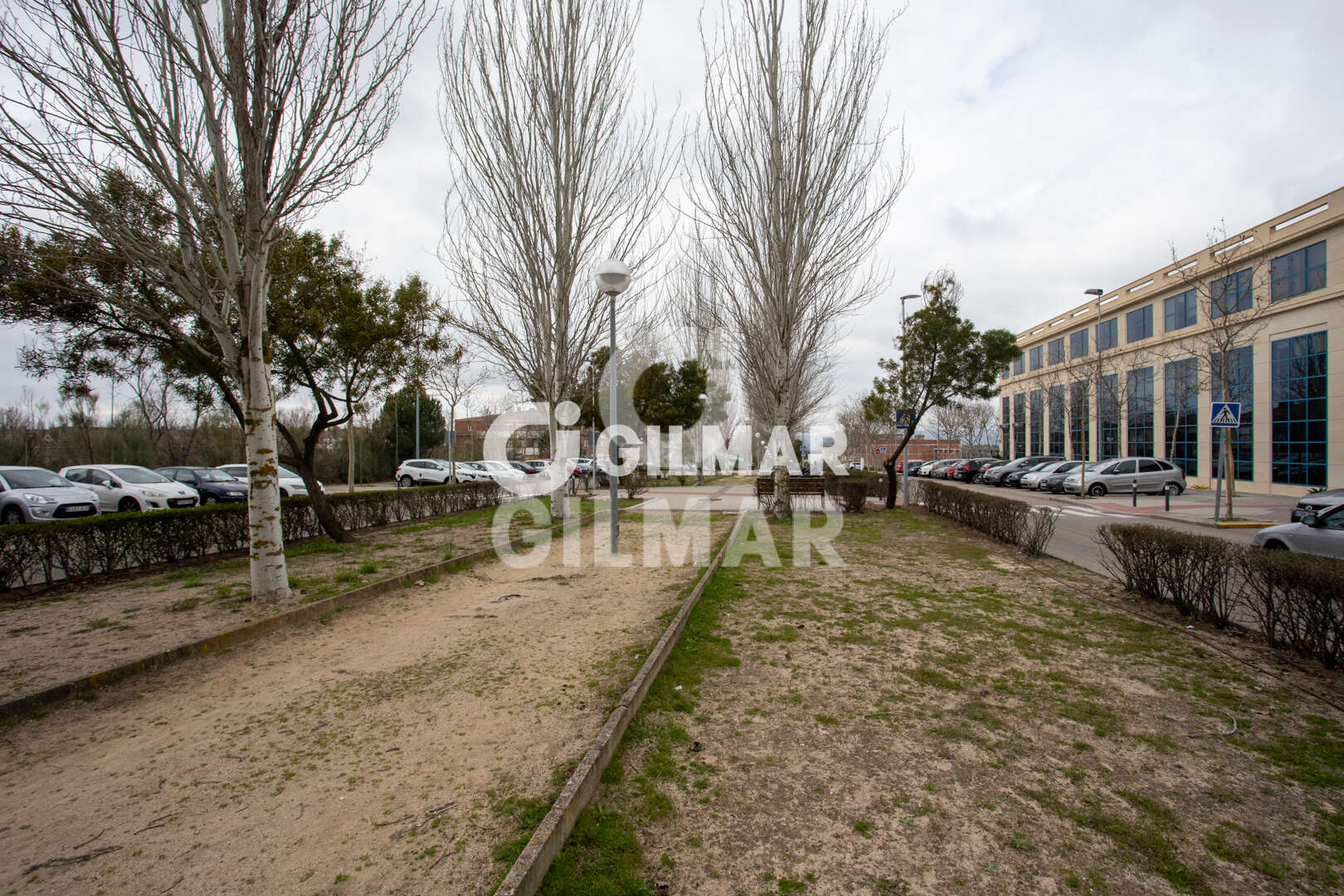 acp galery