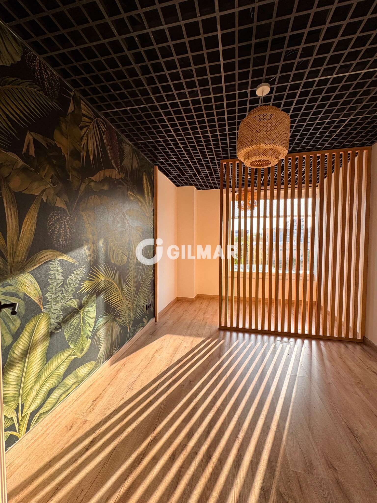 acp galery