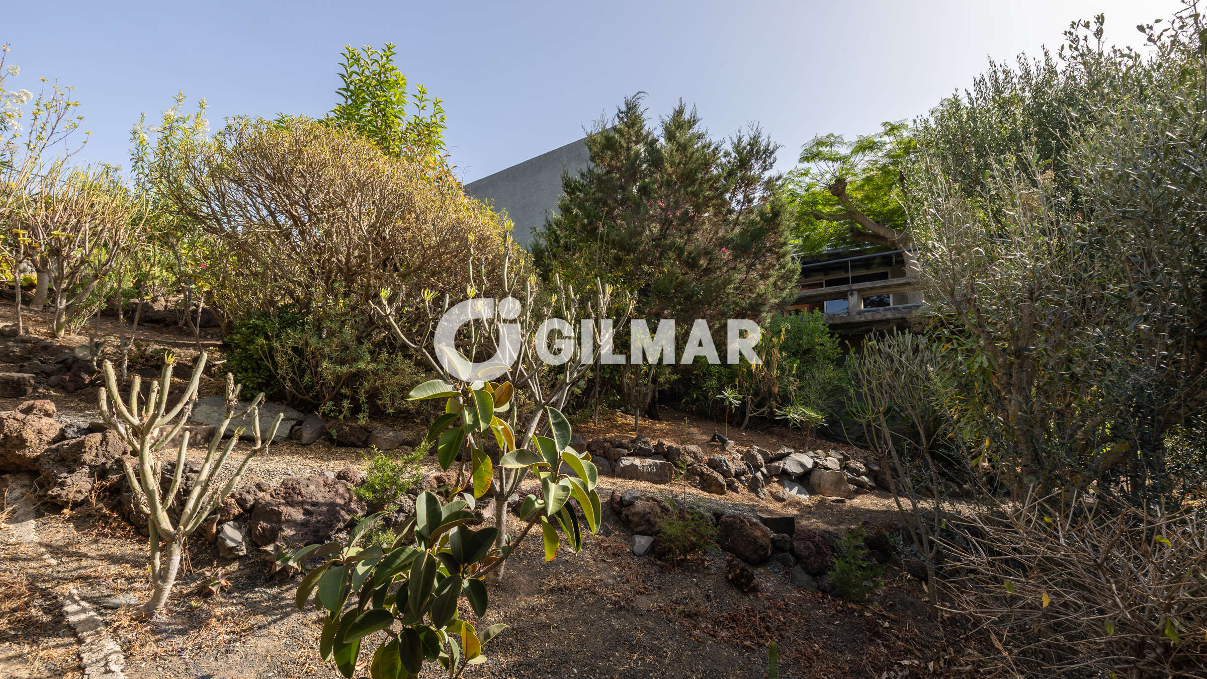 Photo of Villa