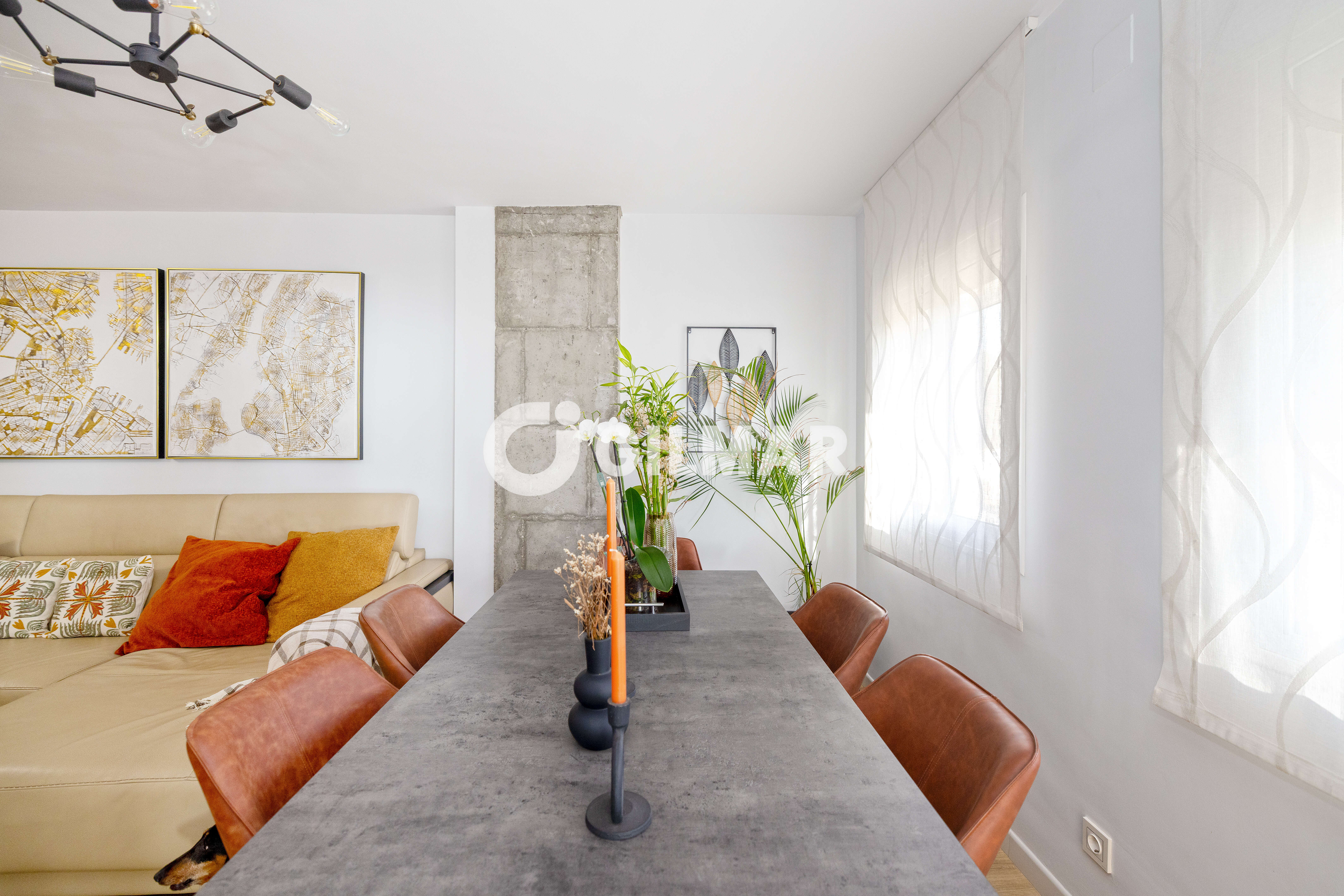 Photo of Apartment