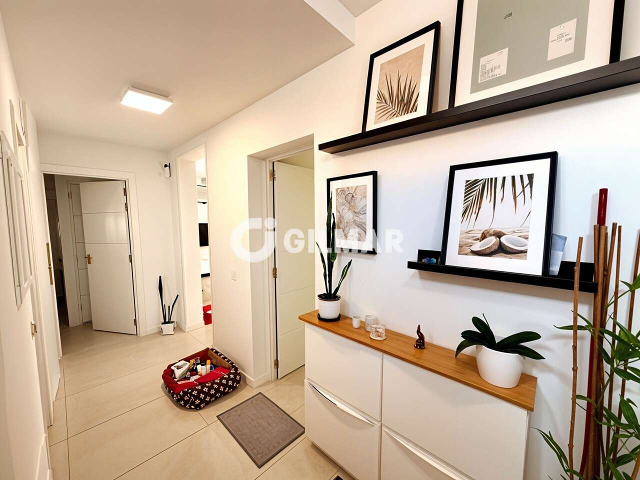 acp galery
