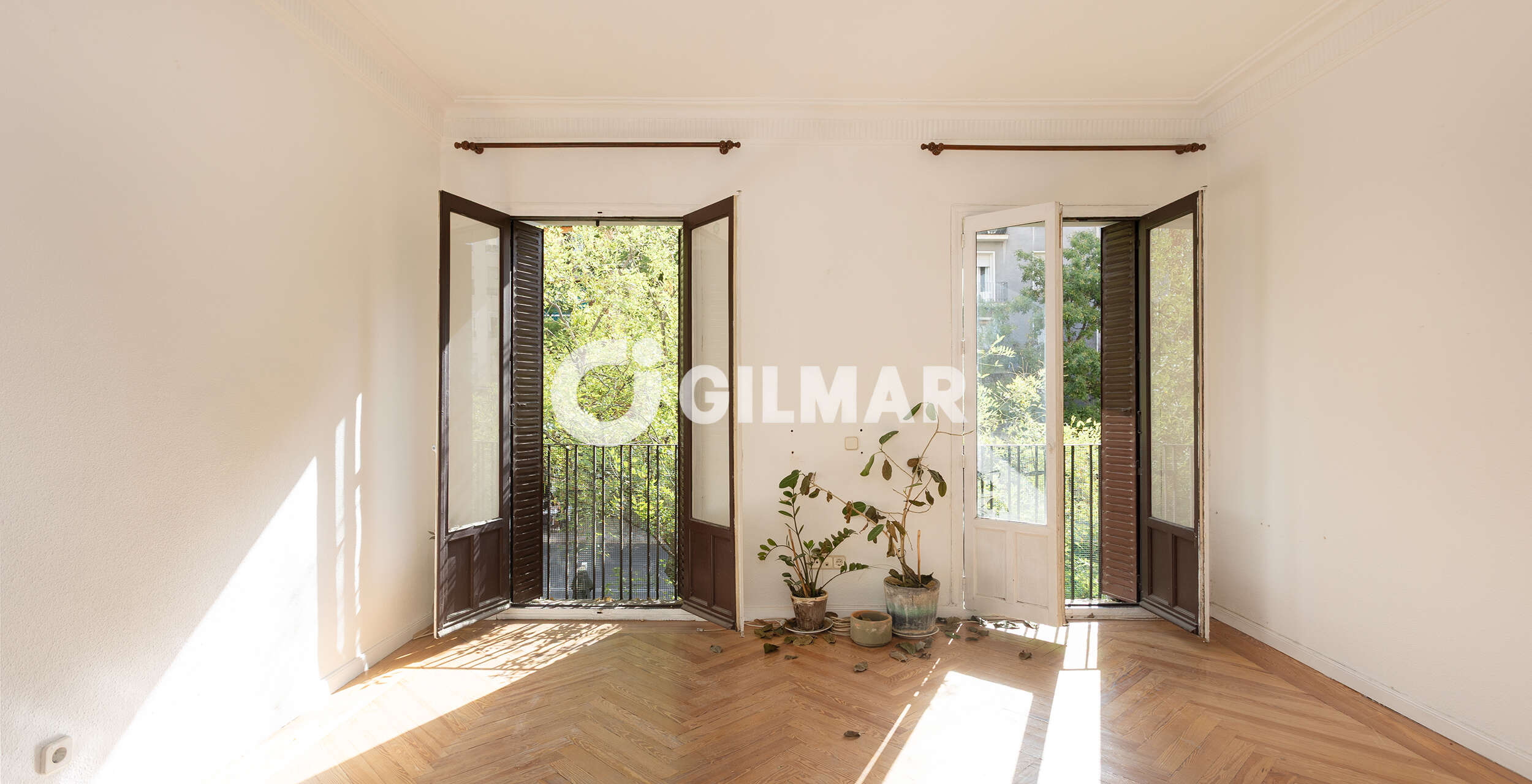 Photo of Apartment