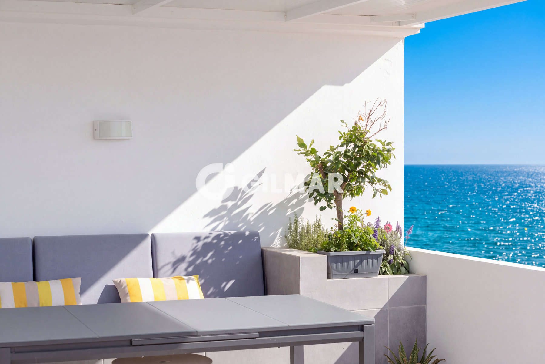 Photo of Penthouse