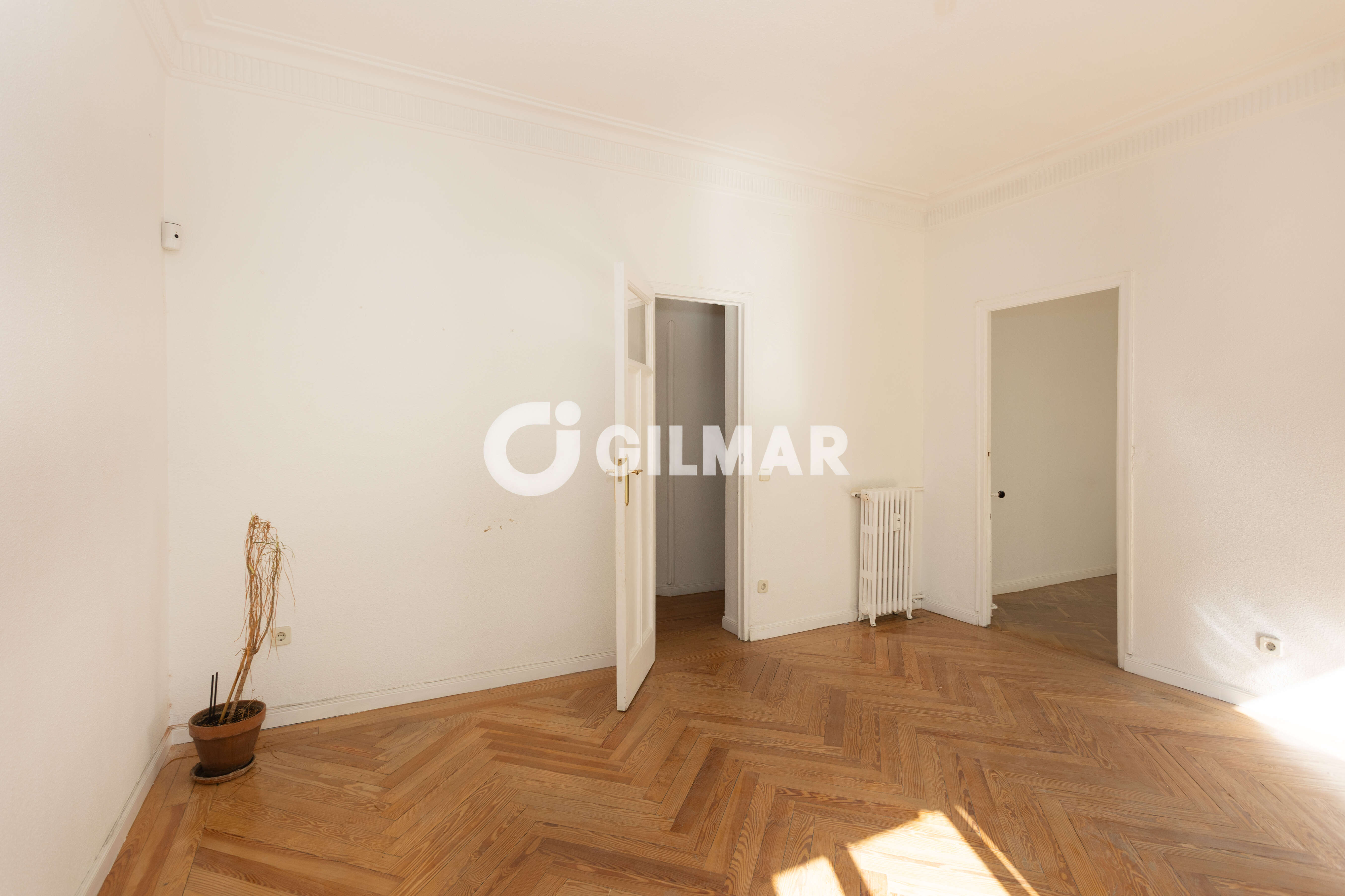 Photo of Apartment