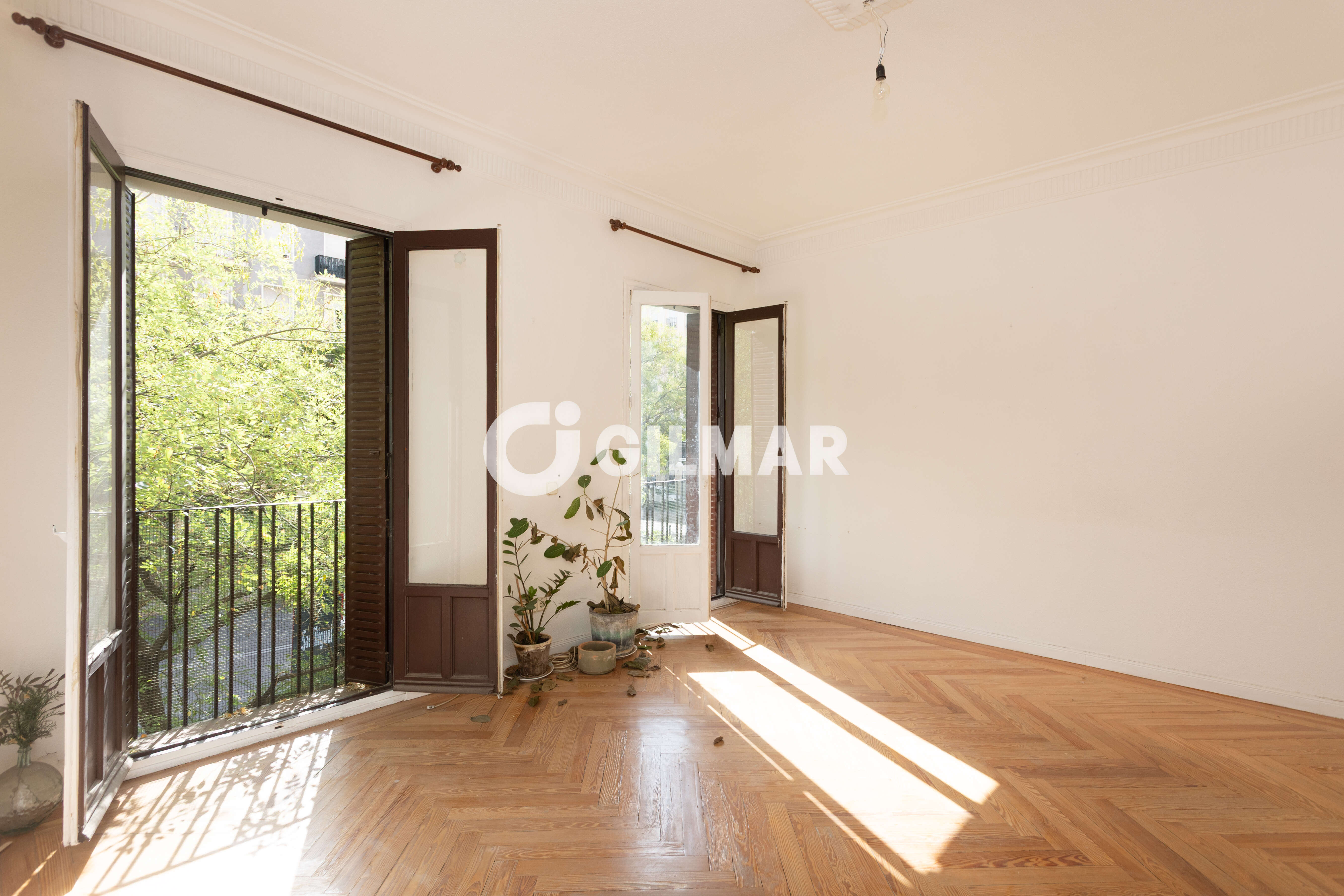 Photo of Apartment