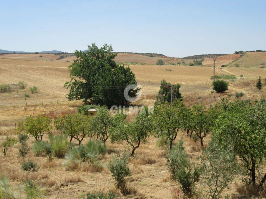 Finca de Caza con olivar en Toledo - GILMAR | La casa de ...