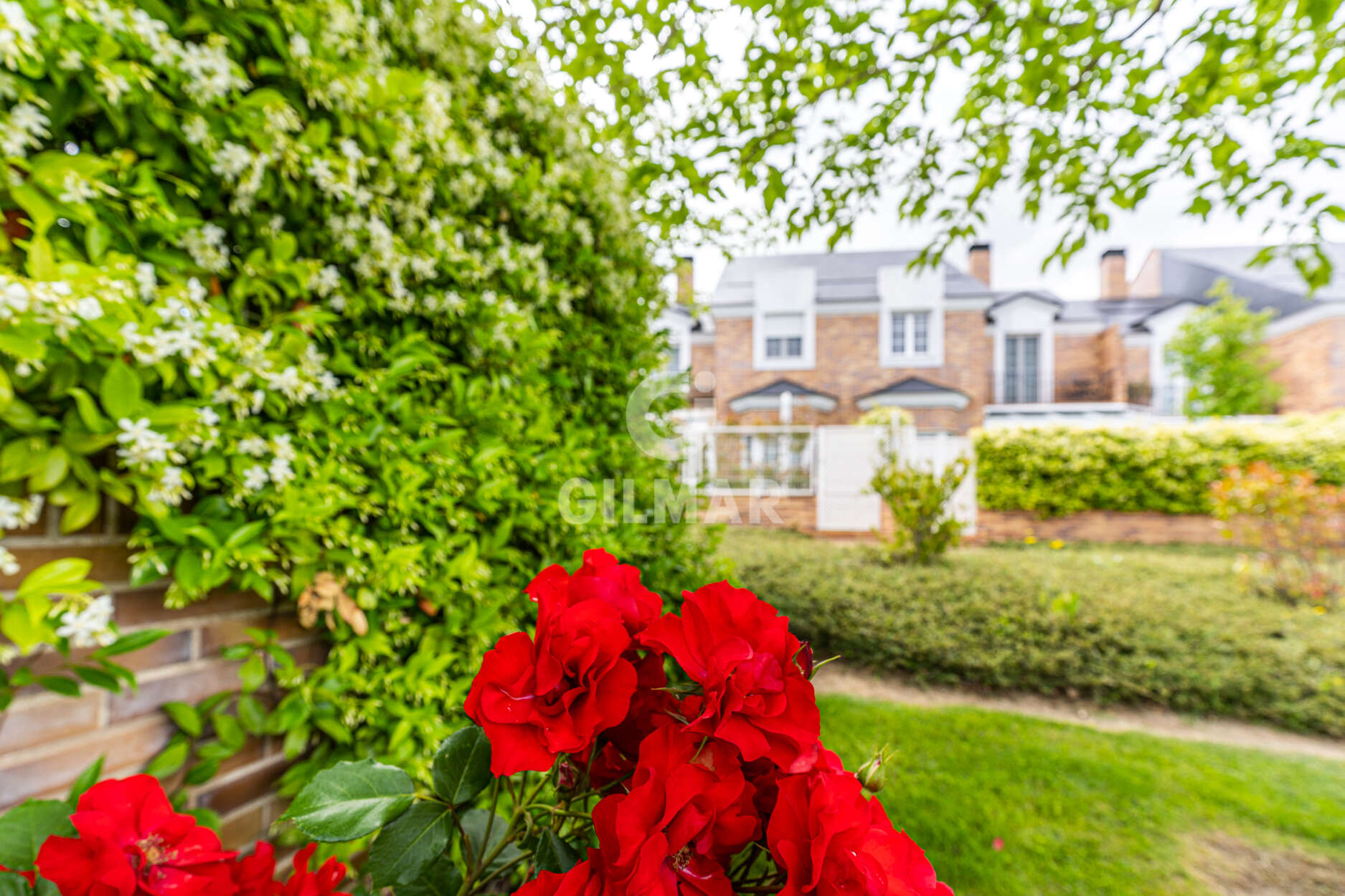 Photo of Terraced house