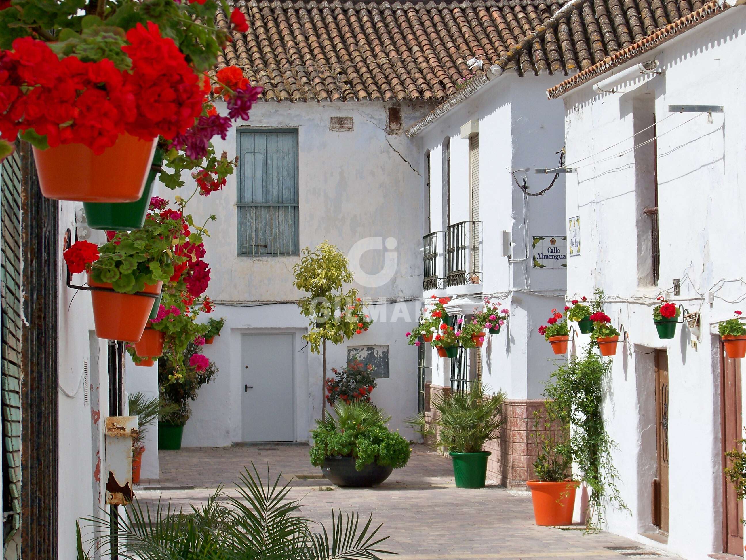 Photo of Terraced house