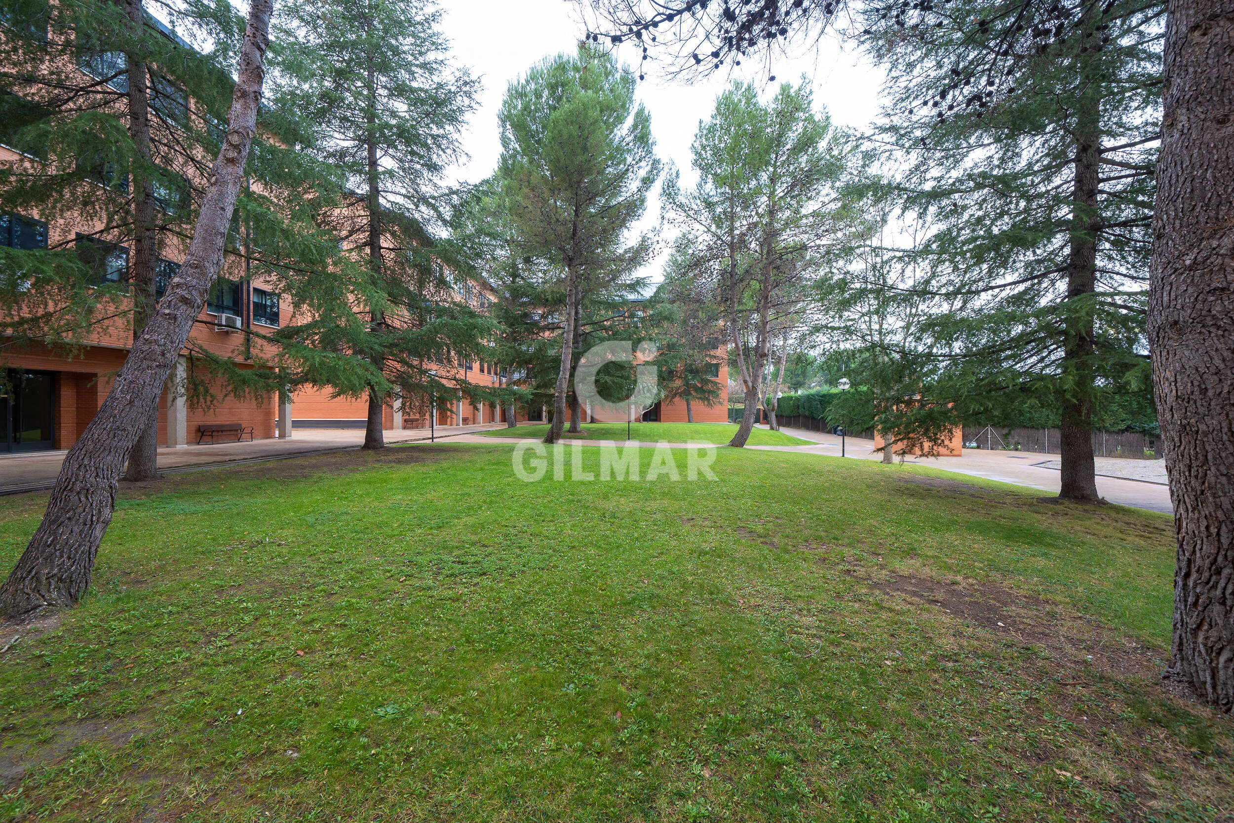 Photo of Apartment