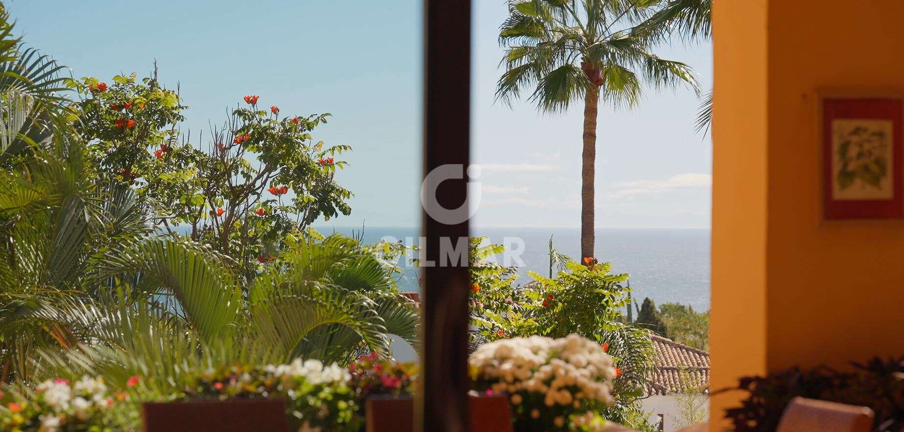 Photo of Apartment