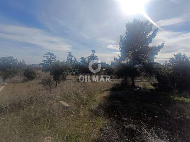 Solar Urbano en venta en Galapagar – Madrid | Gilmar Consulting