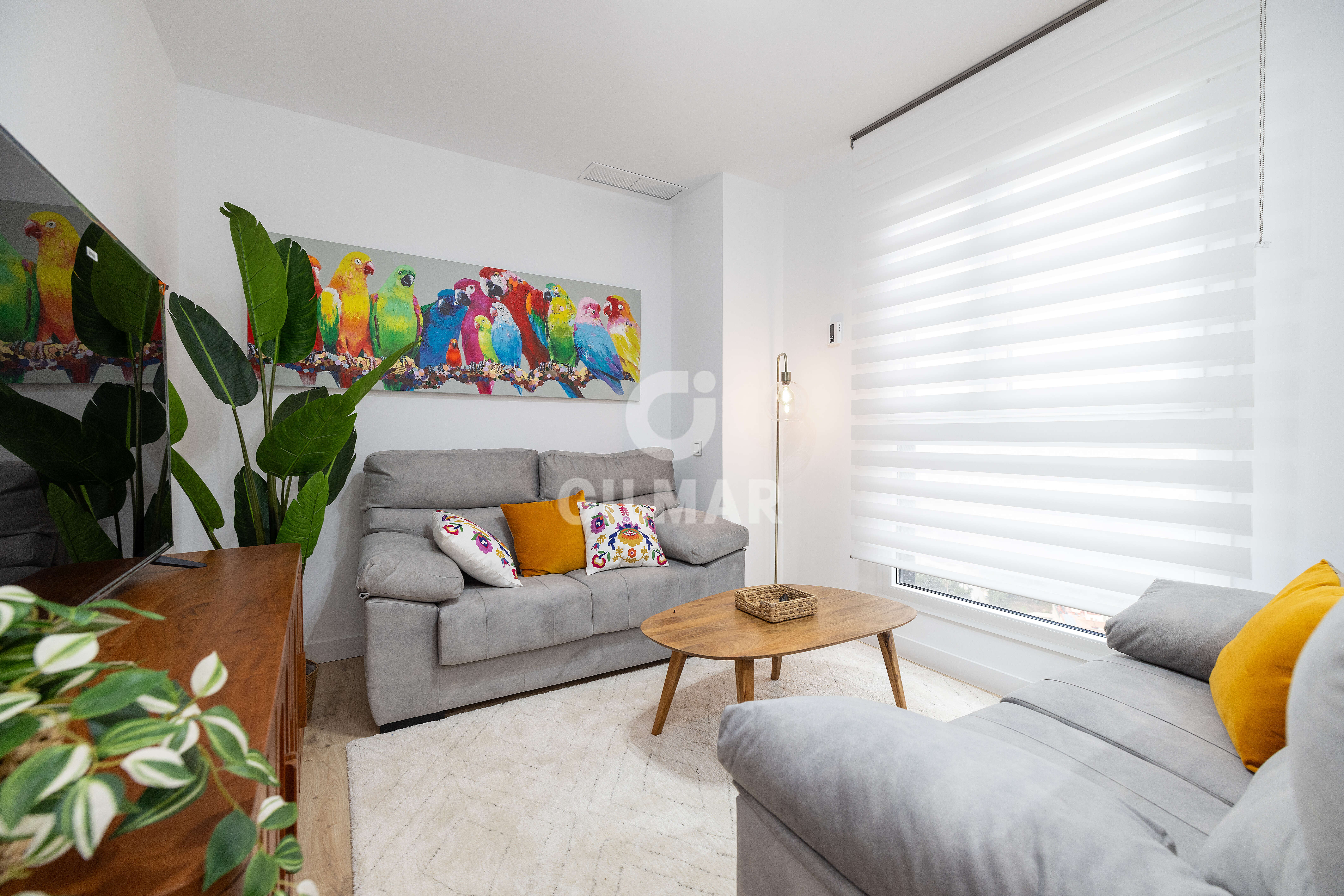 properties images