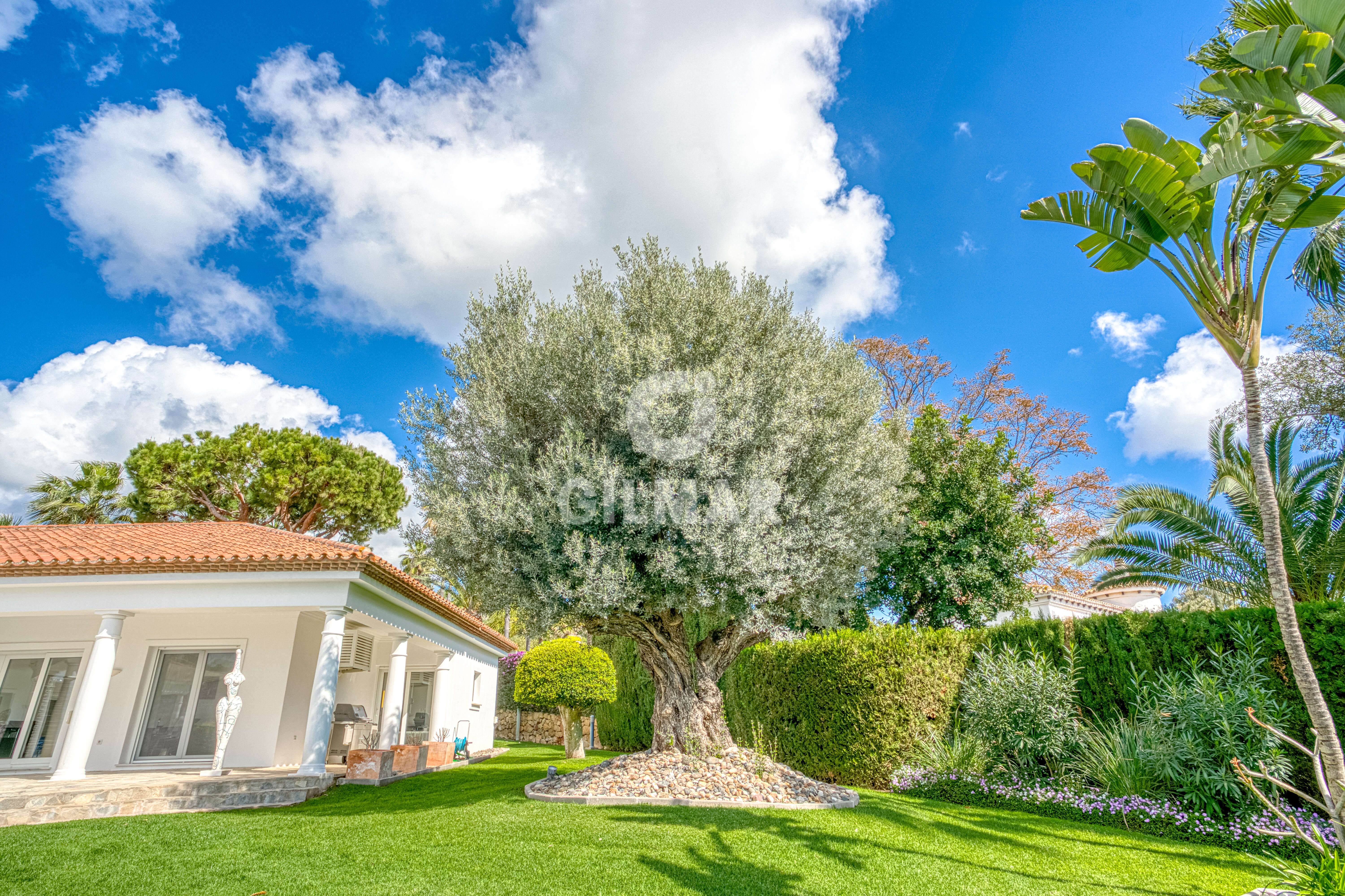 Photo of Villa