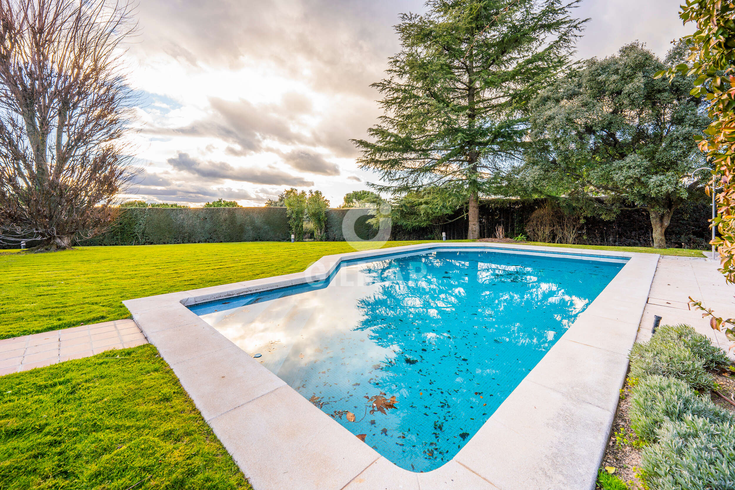 properties images