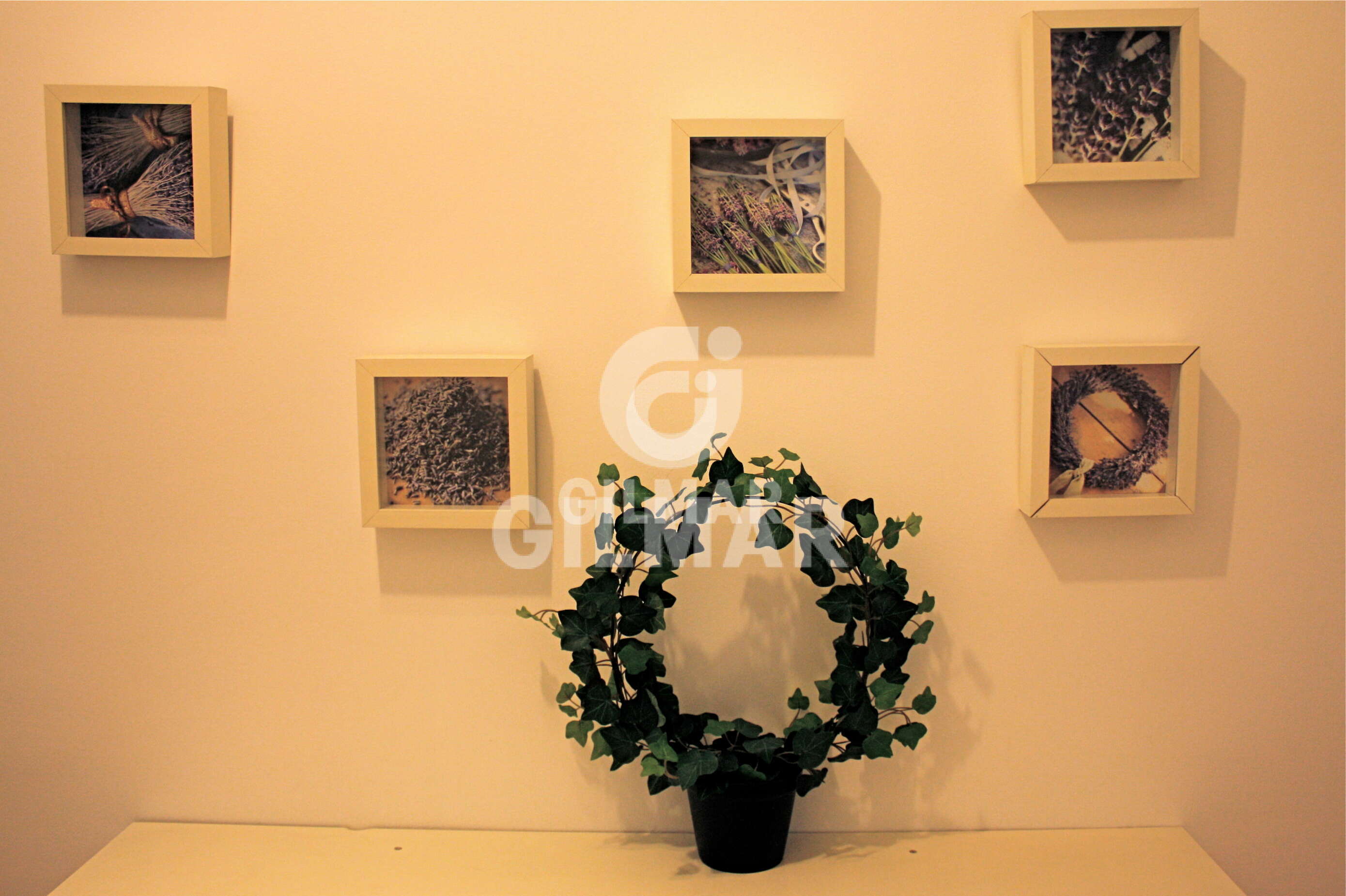 Photo of Apartment