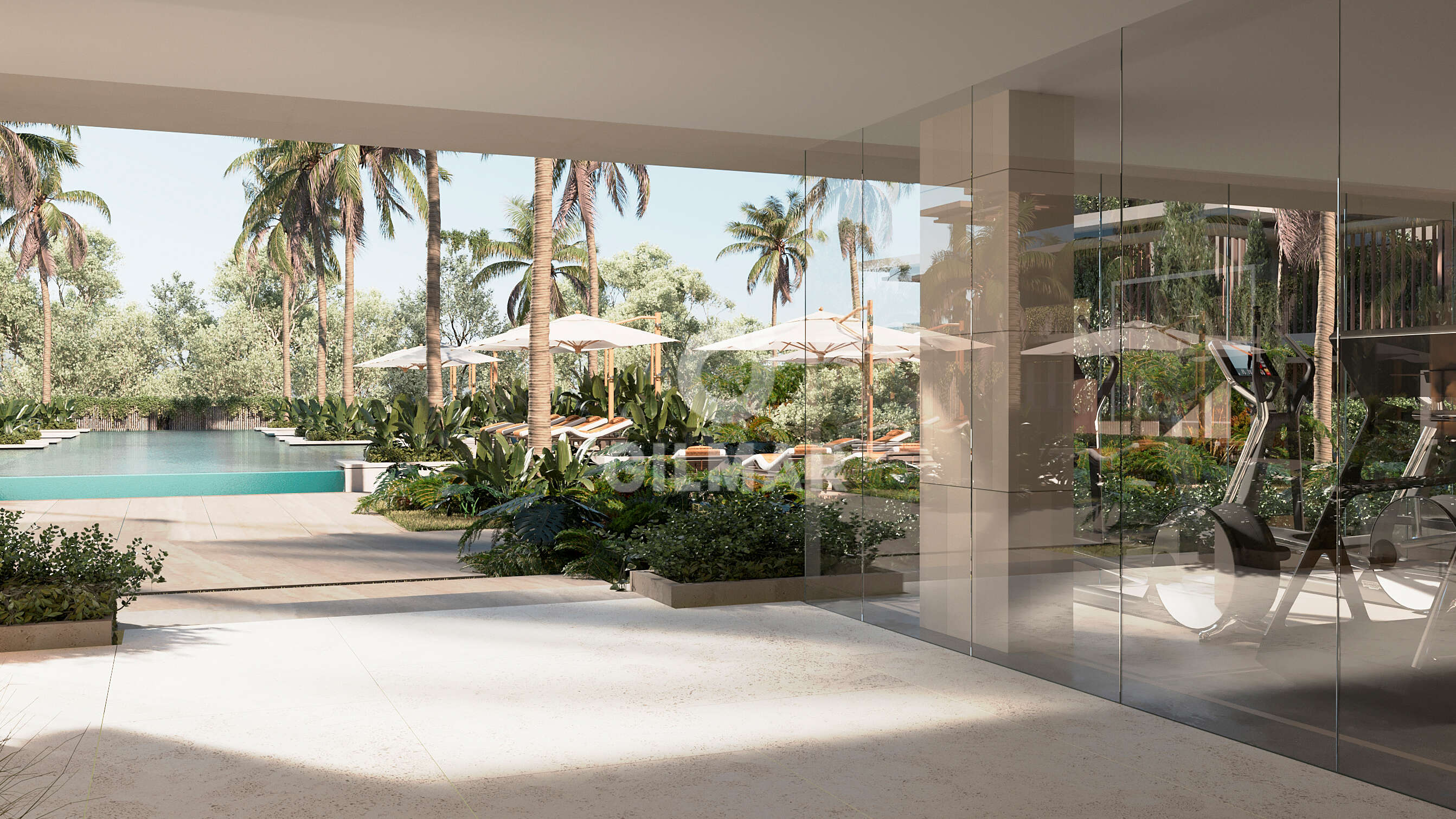 Photo of Penthouse