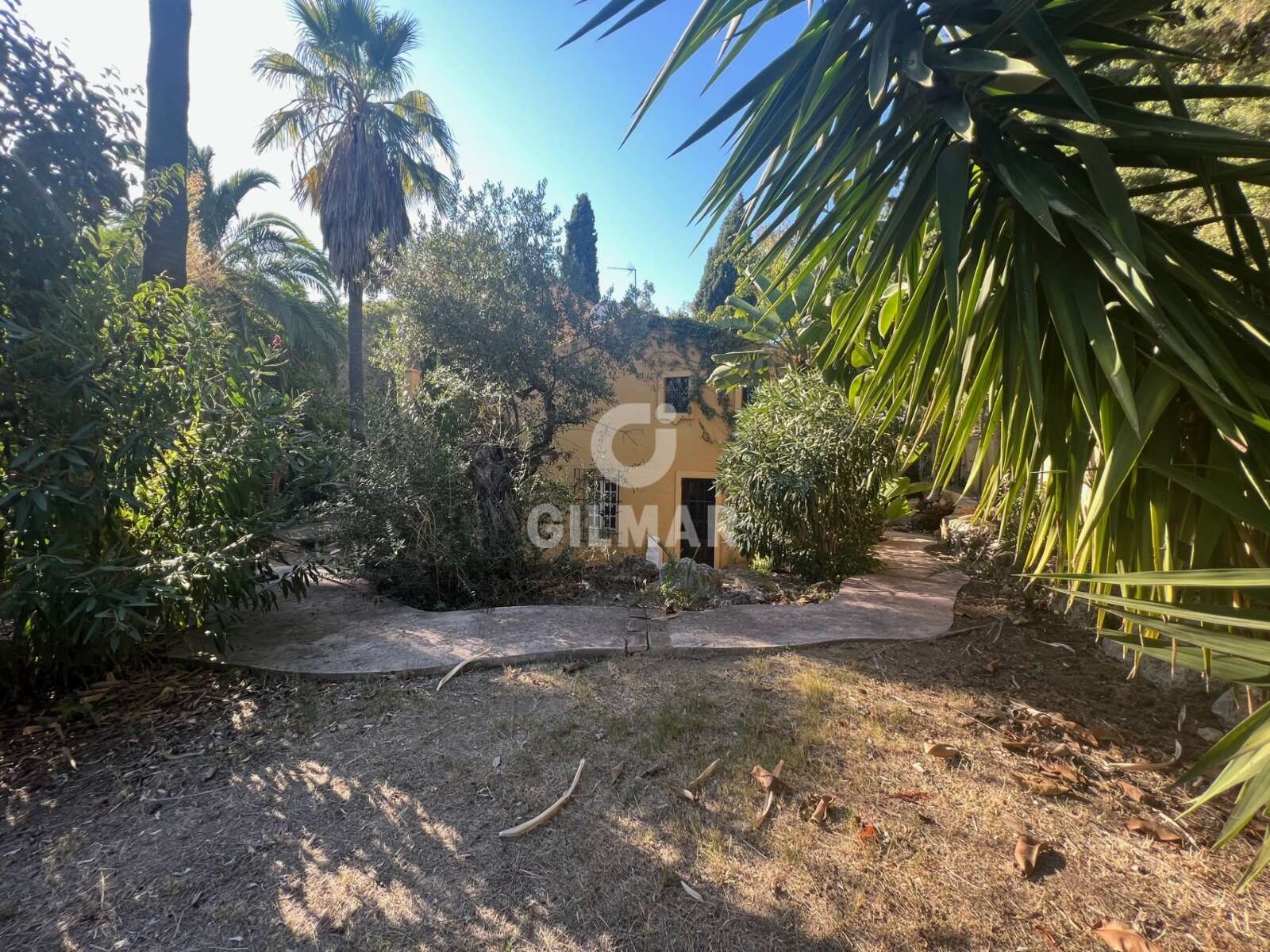 properties images