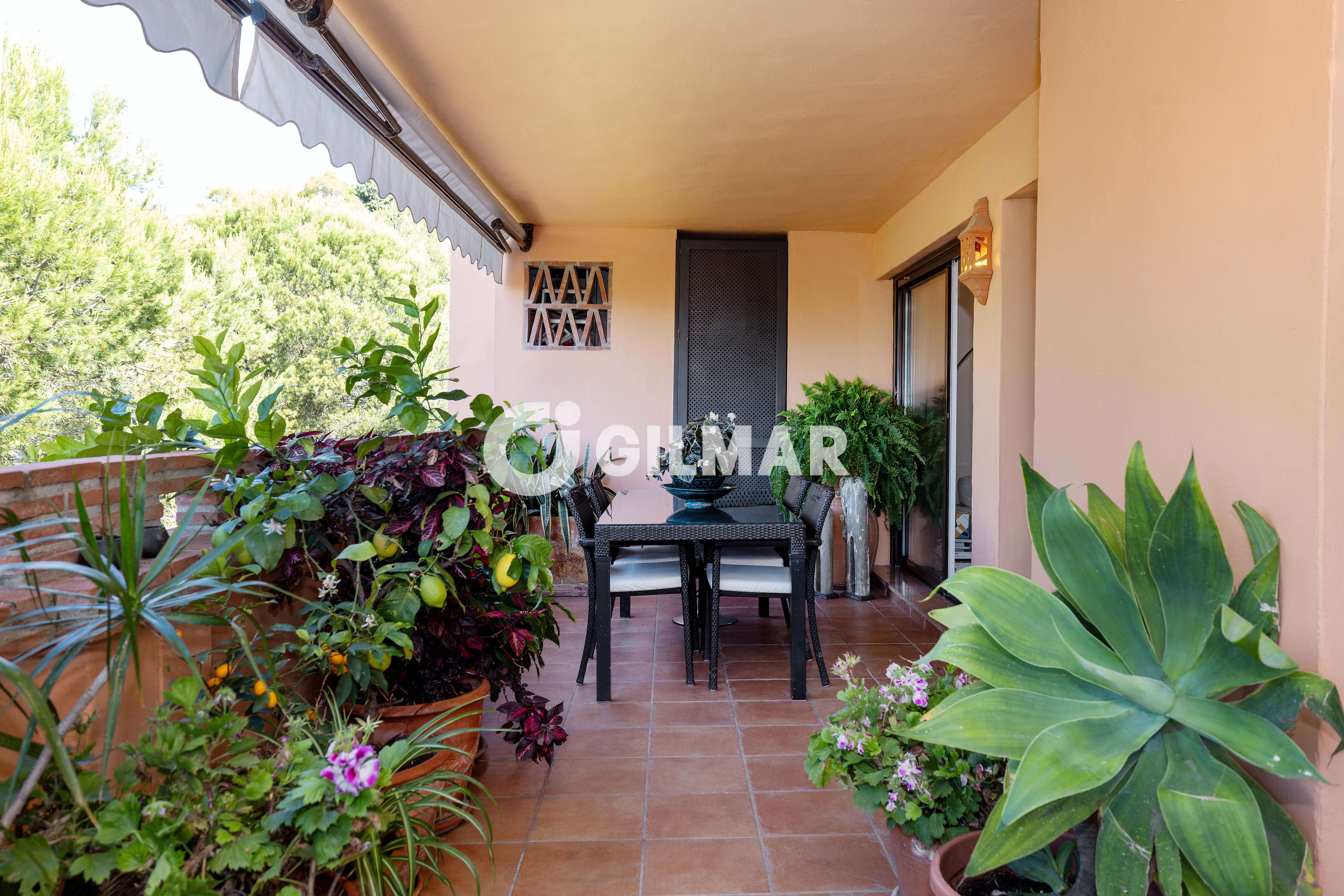 Photo of Apartment