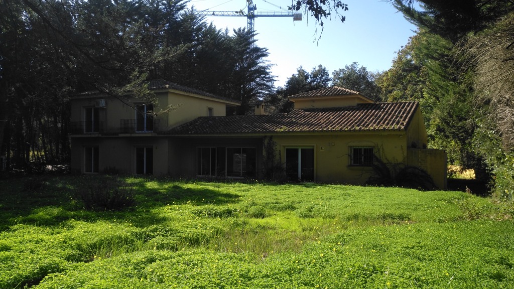Villa house in Sotogrande Alto 4