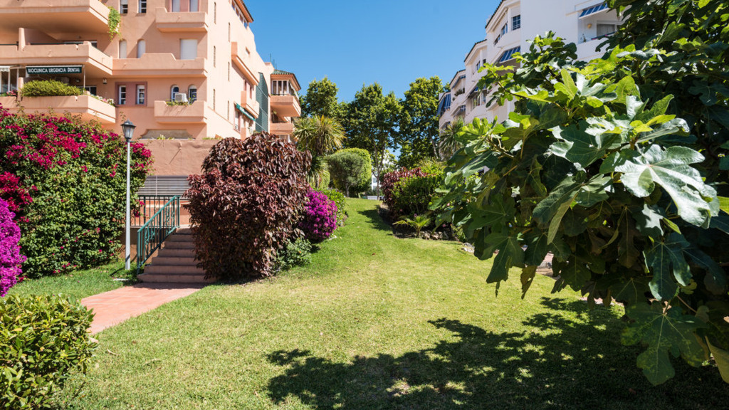 Apartment in Marbella Ciudad 18