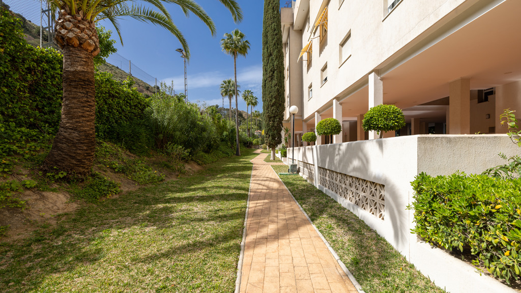 House in Malaga - Image 3