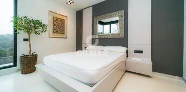 acp galery