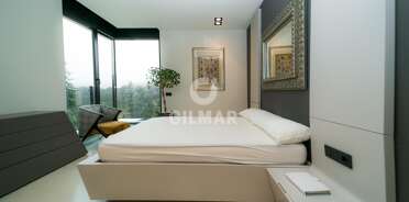 acp galery