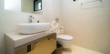 acp galery