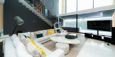 acp galery
