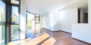 acp galery